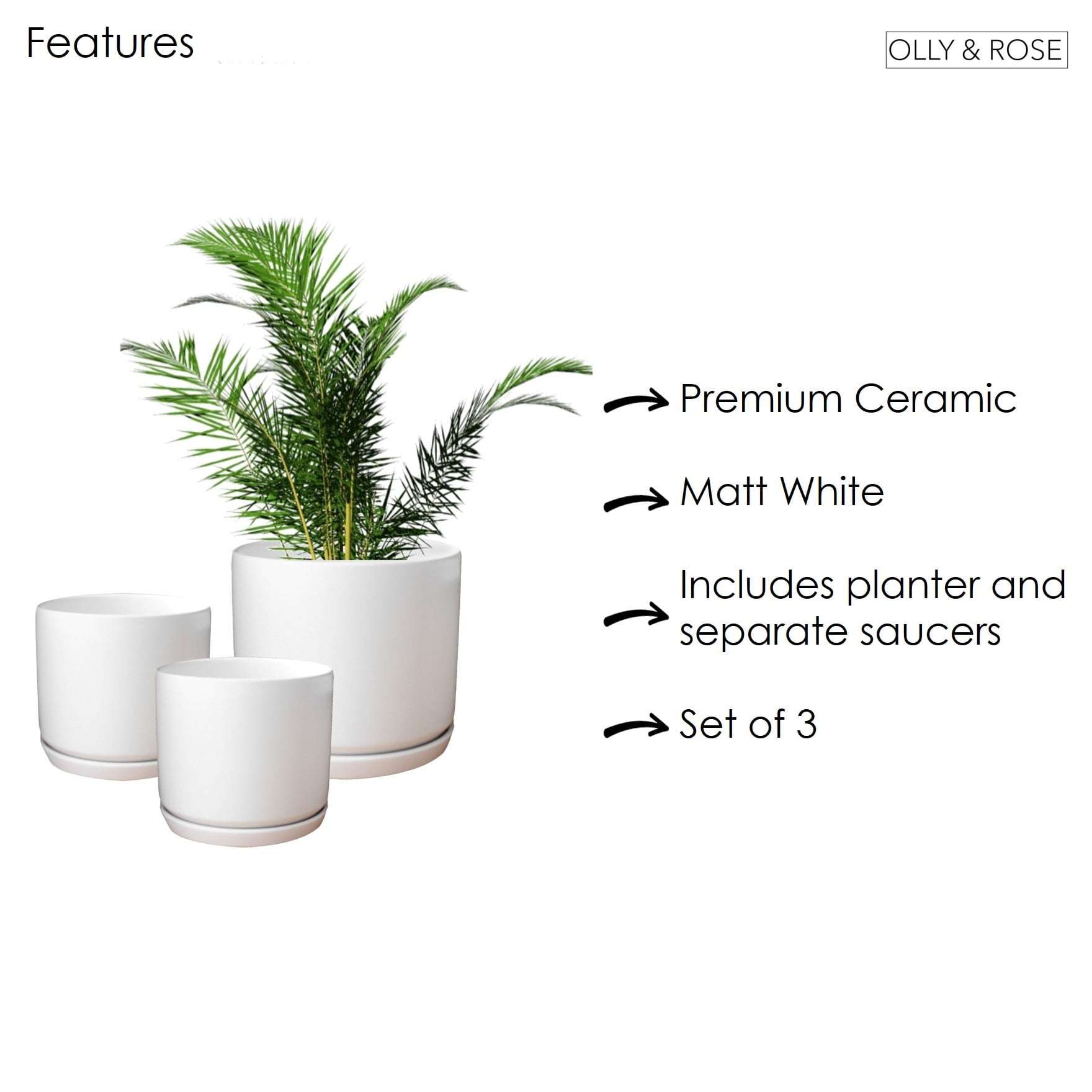 Matt White Flower Pots Garden Planters Set 3 Indoor outdoor ceramic plant pots round with Saucers - Image 6