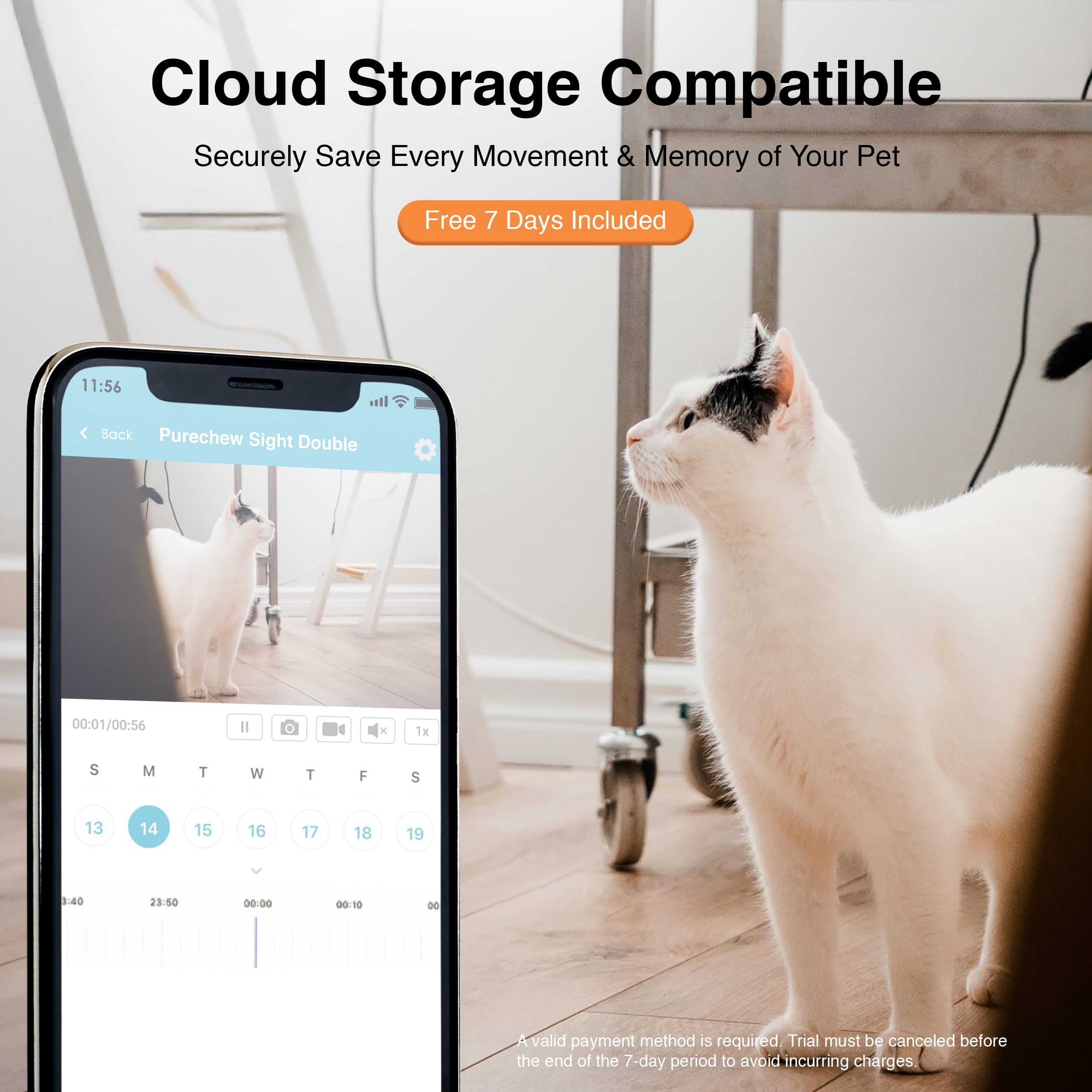 Instachew Purechew Sight Double Automatic Pet Feeder HD Camera Feeder with Double Bowls for Cats and Dogs - Image 4