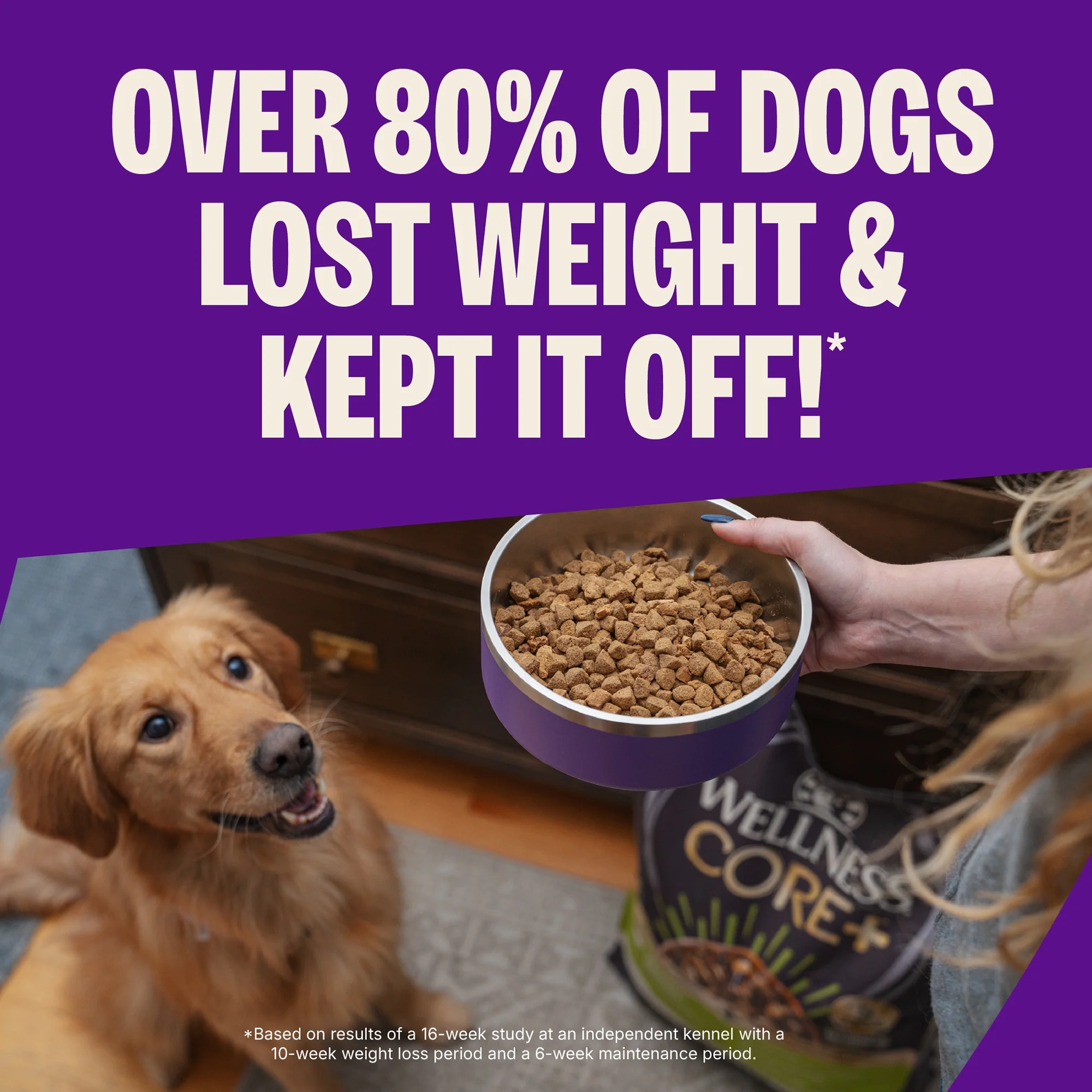 Wellness CORE Dry Dog Food, Grain Free, High Protein, Natural, Healthy Weight Turkey & Chicken Recipe, (26-Pound Bag) - Image 7