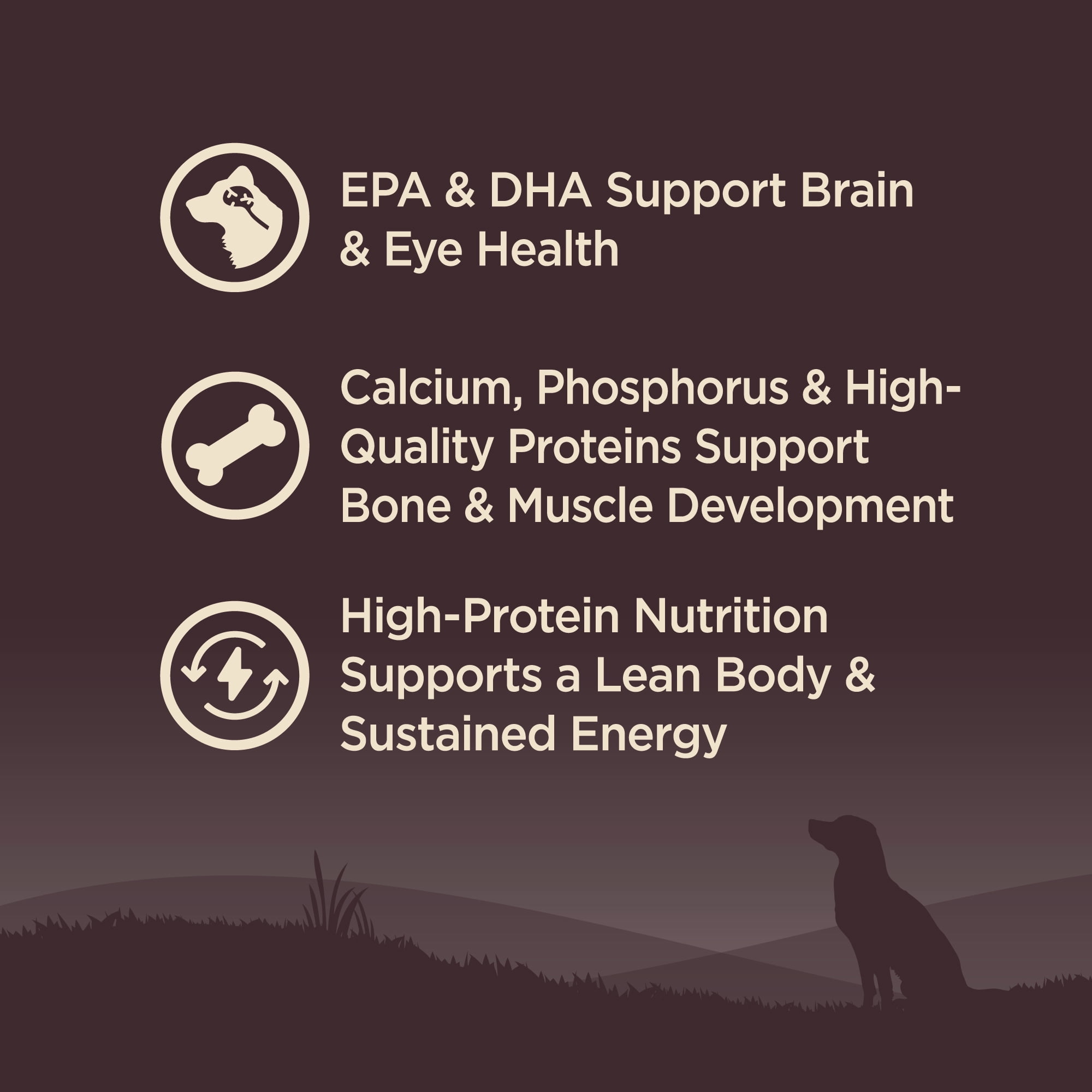 Wellness CORE Wholesome Grains Dry Dog Food, Puppy Recipe, 12 Pound Bag - Image 6