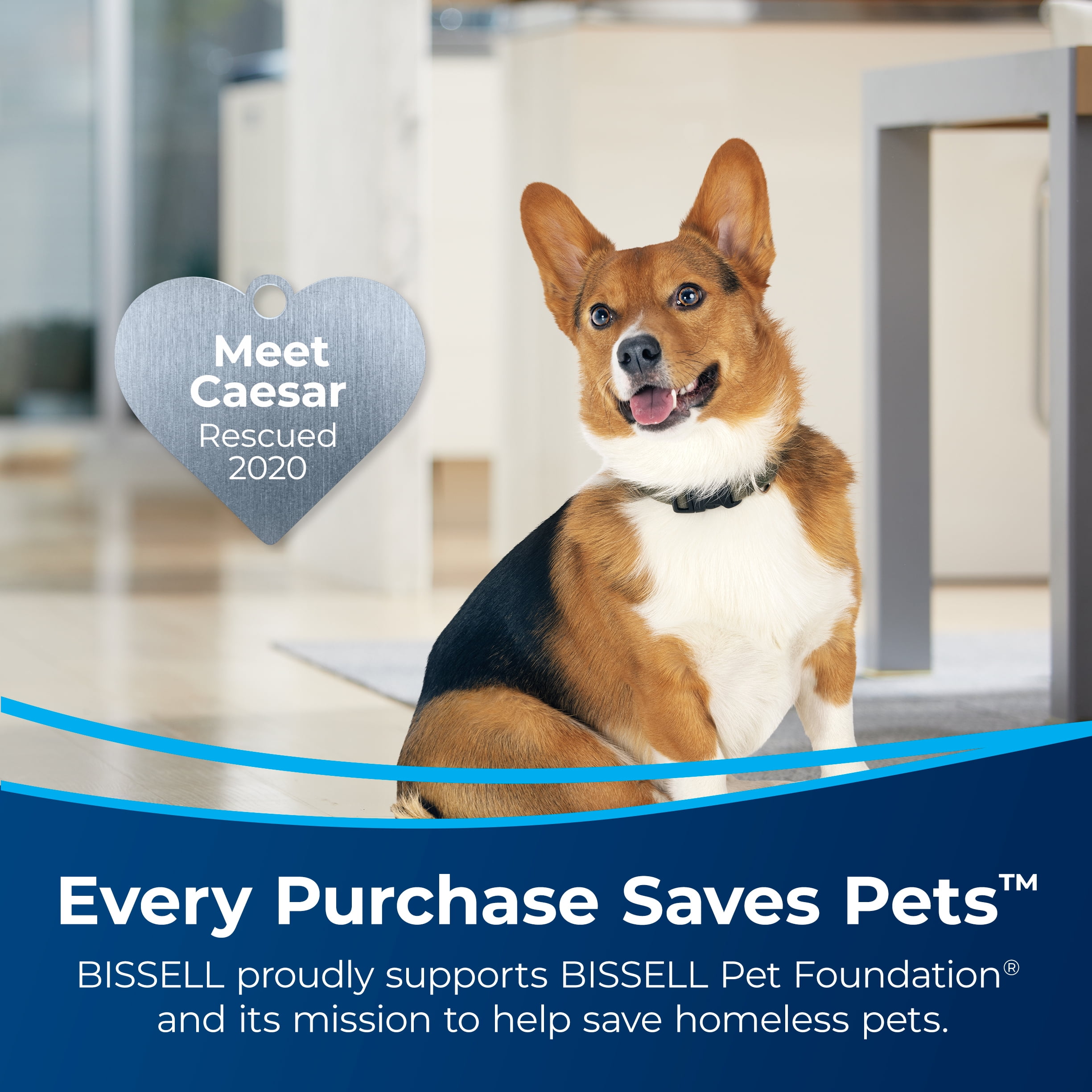 BISSELL PowerForce Helix Turbo Rewind Pet, Upright Vacuum, Pet Friendly, Automatic Cord Rewind, Powerful Pet Hair Pickup, Extra-Wide Cleaning Path, 3333, Black & Green - Image 4