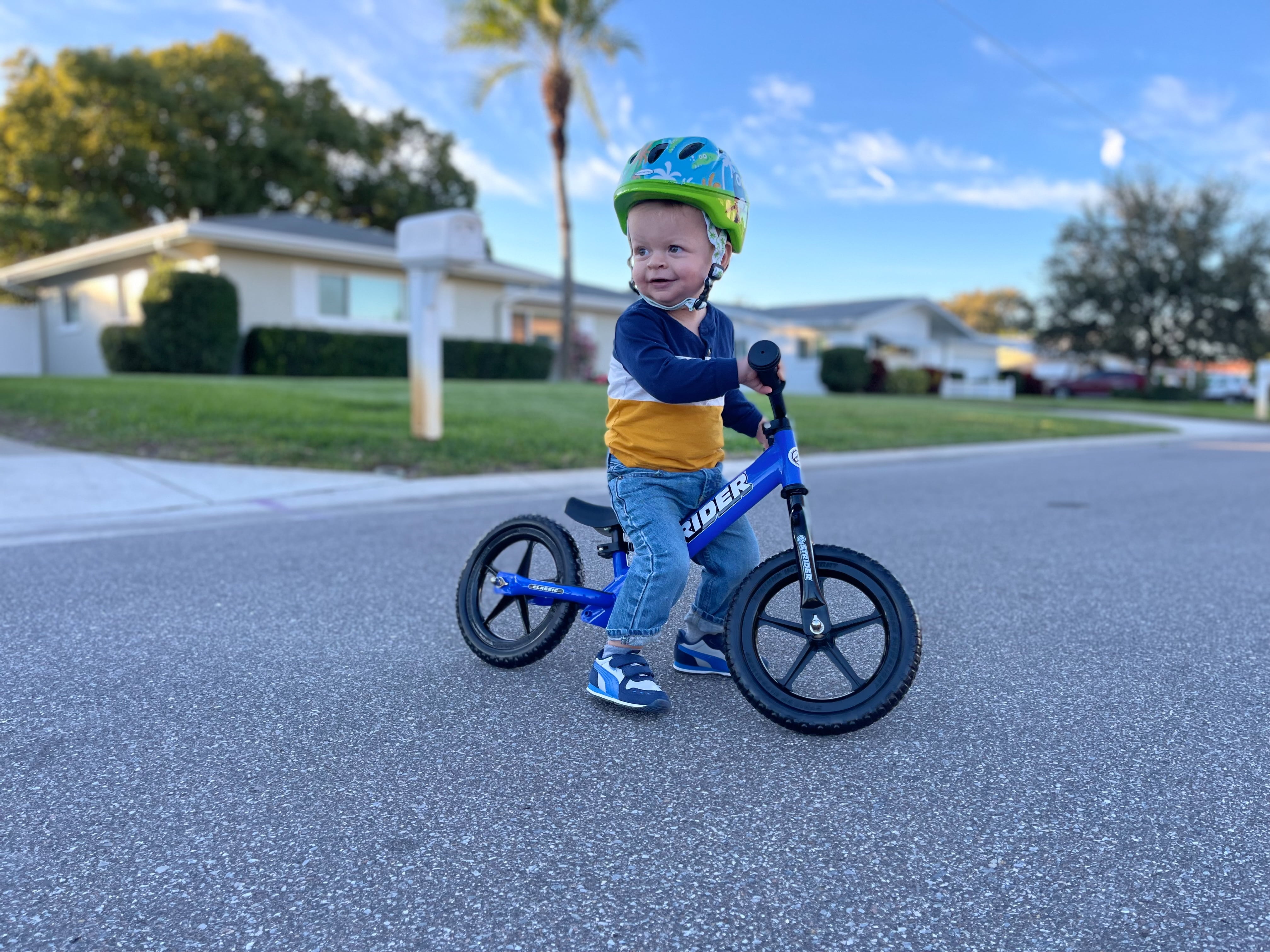 Strider 12 Classic Bike, Blue - No Pedal Balance Bicycle for Kids 1 to 3 Years - Image 2