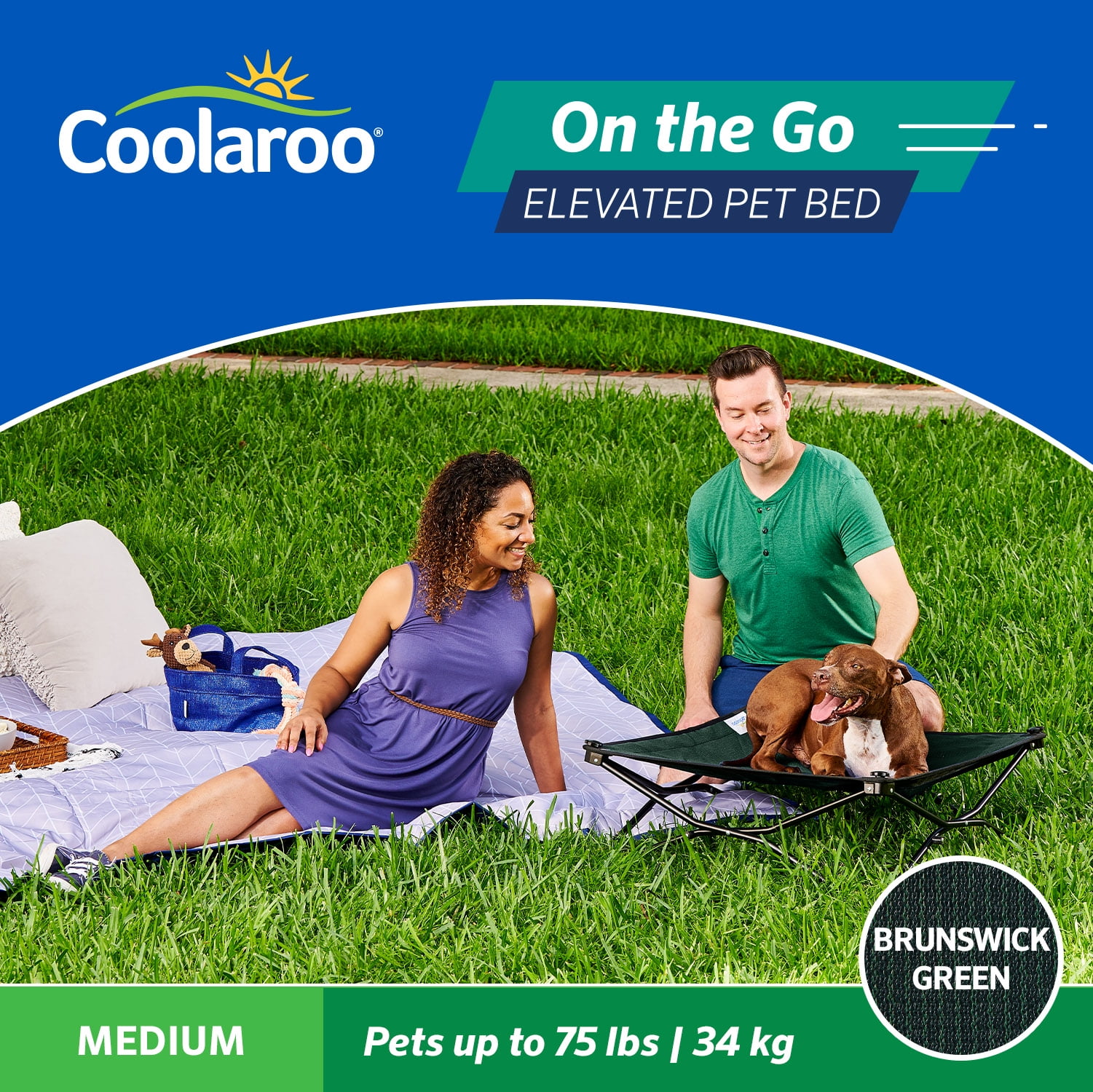 Coolaroo On the Go Elevated Travel Dog Bed, Medium, Brunswick Green - Image 3