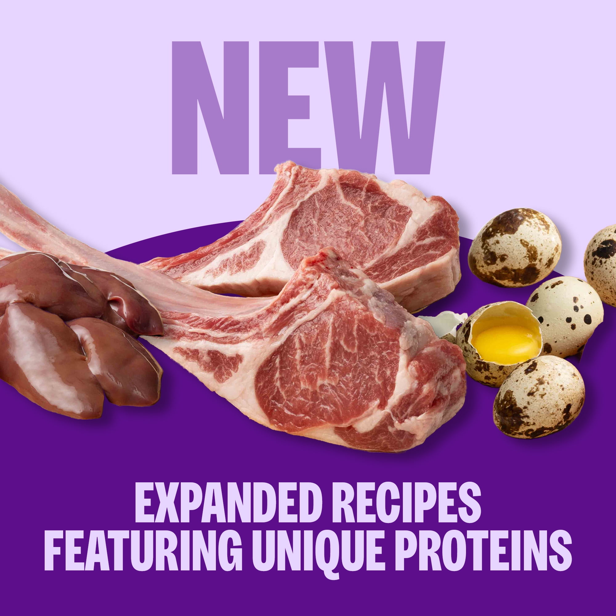 Wellness CORE Signature Selects Shredded Adult Wet Cat Food, Natural, Protein-Rich, Grain Free, 5.3 Ounce, 12 Pack (Chicken & Chicken Liver) - Image 7