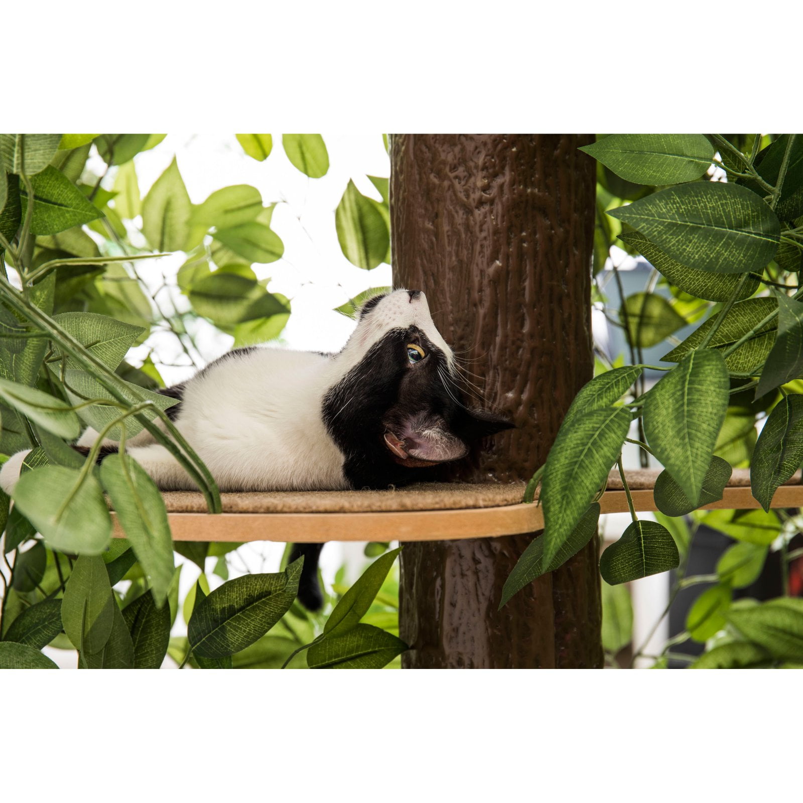 On2Pets Cat Tree with Leaves, Cat House & Cat Activity Tree, Multi-Level Cat Condo for Indoor Cats, Square Base - Image 8