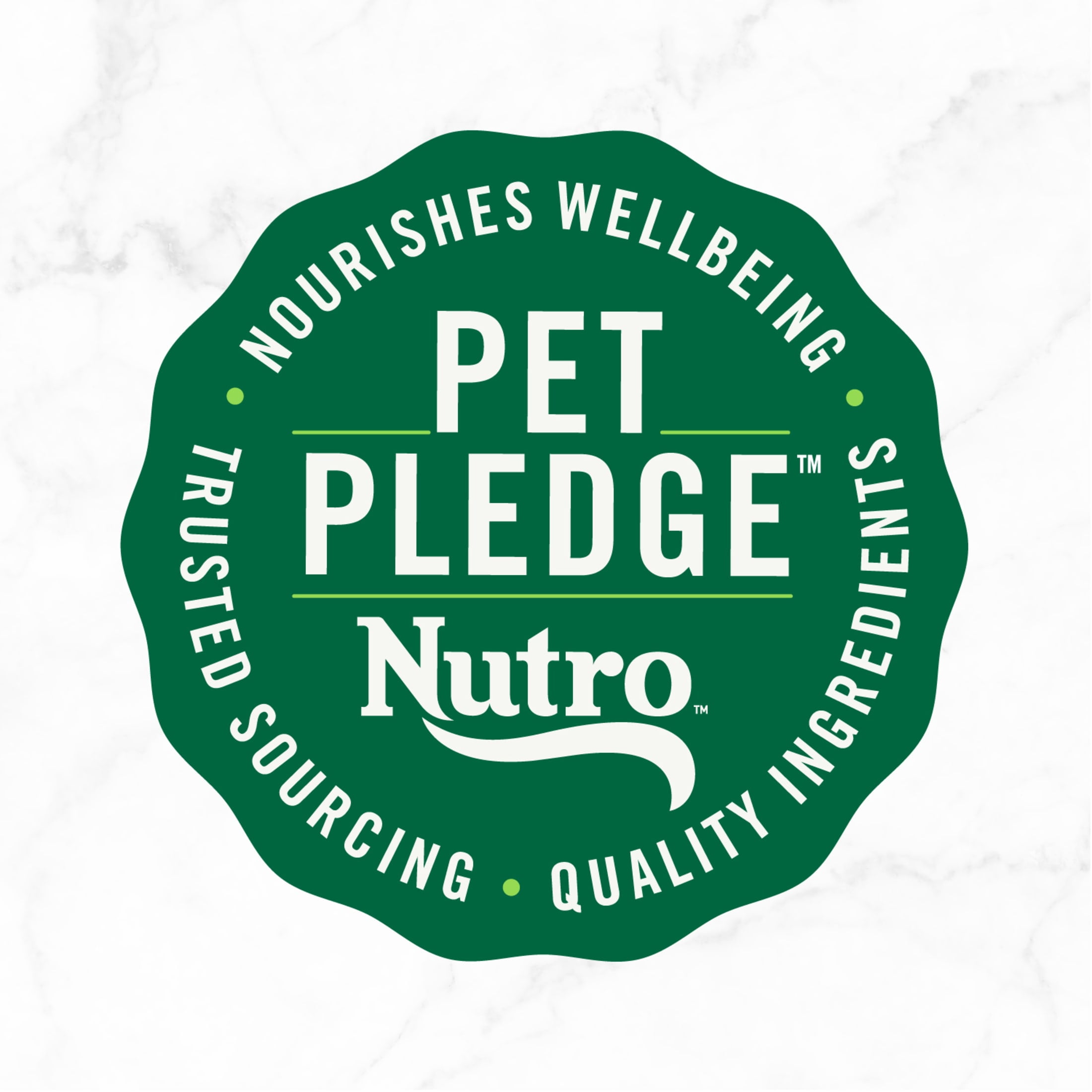 (4 pack) Nutro So Simple Chicken And Chicken & Duck Recipes Wet Dog Food, 2 Oz Trays, Variety Pack Of 8 - Image 9