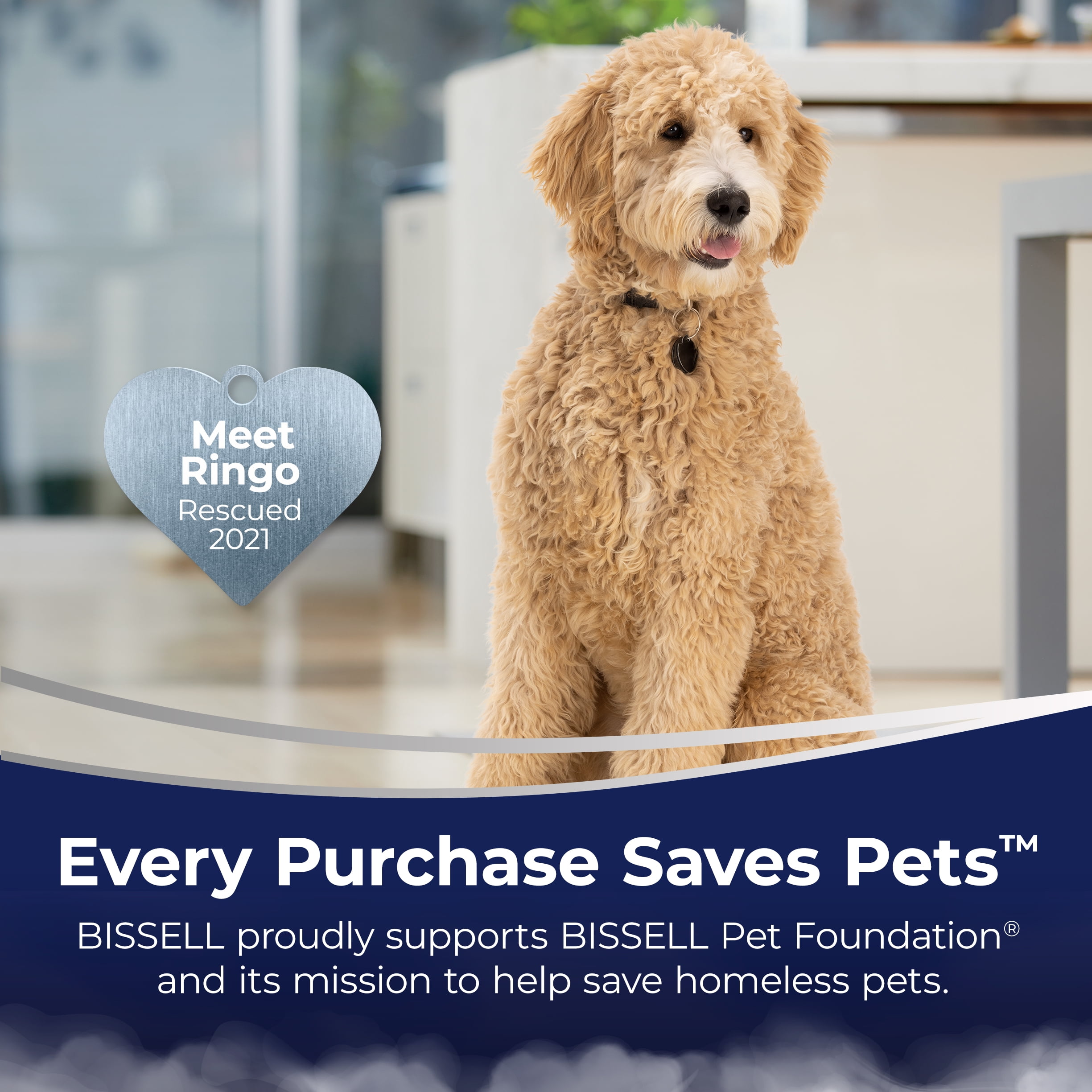 BISSELL Revolution HydroSteam Carpet Cleaner, 3428 - Image 6