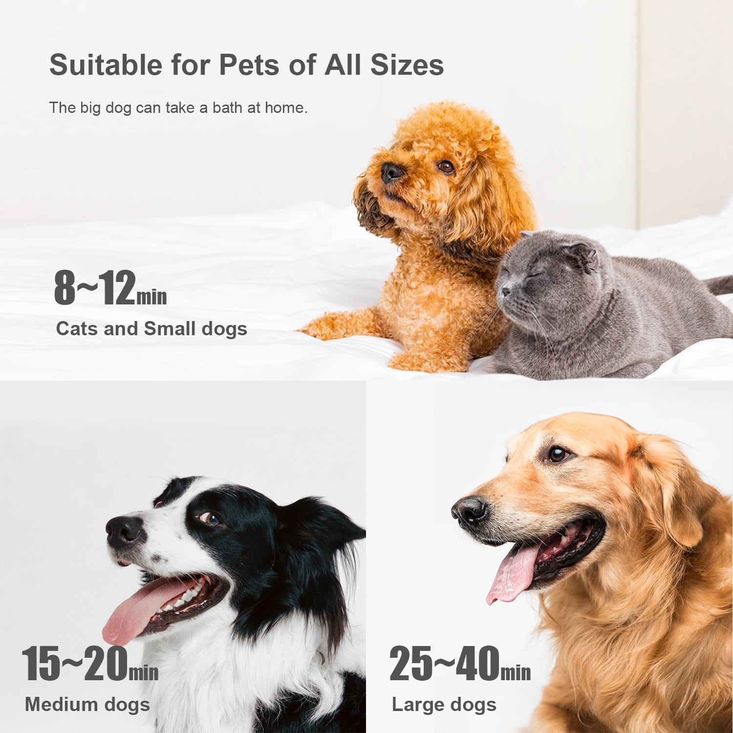 Dog Hair Dryer Blower for Grooming - Professional High Velocity 4.5HP Blow Dryer for Dogs - Pet Dryer Adjustable Heat Low Noise Quiet Air Flow - Image 6