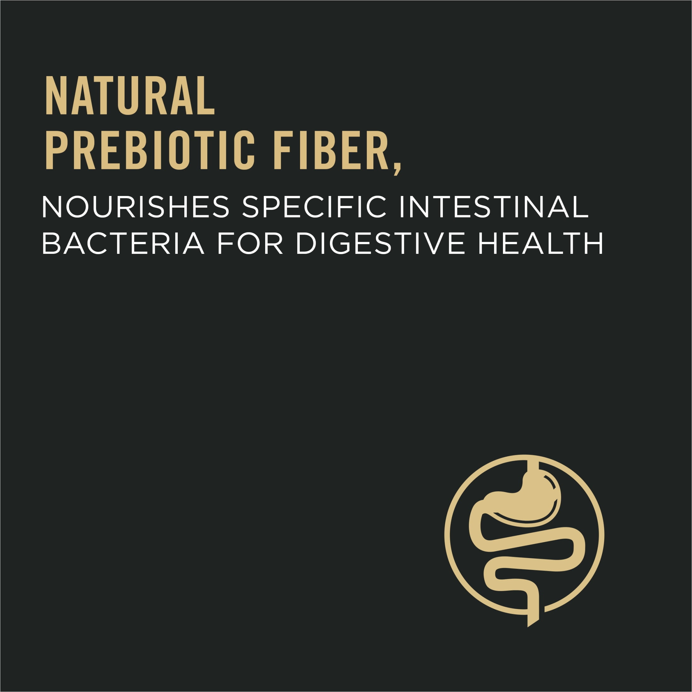 Purina Pro Plan Complete Essentials Dry Cat Food, Chicken & Rice, 16 lb Bag - Image 4