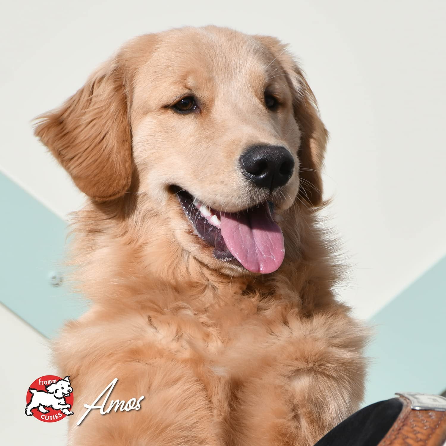 Fromm Four Star Nutritionals Grain-Free Surf & Turf Dry Dog Food, 26 lb - Image 3