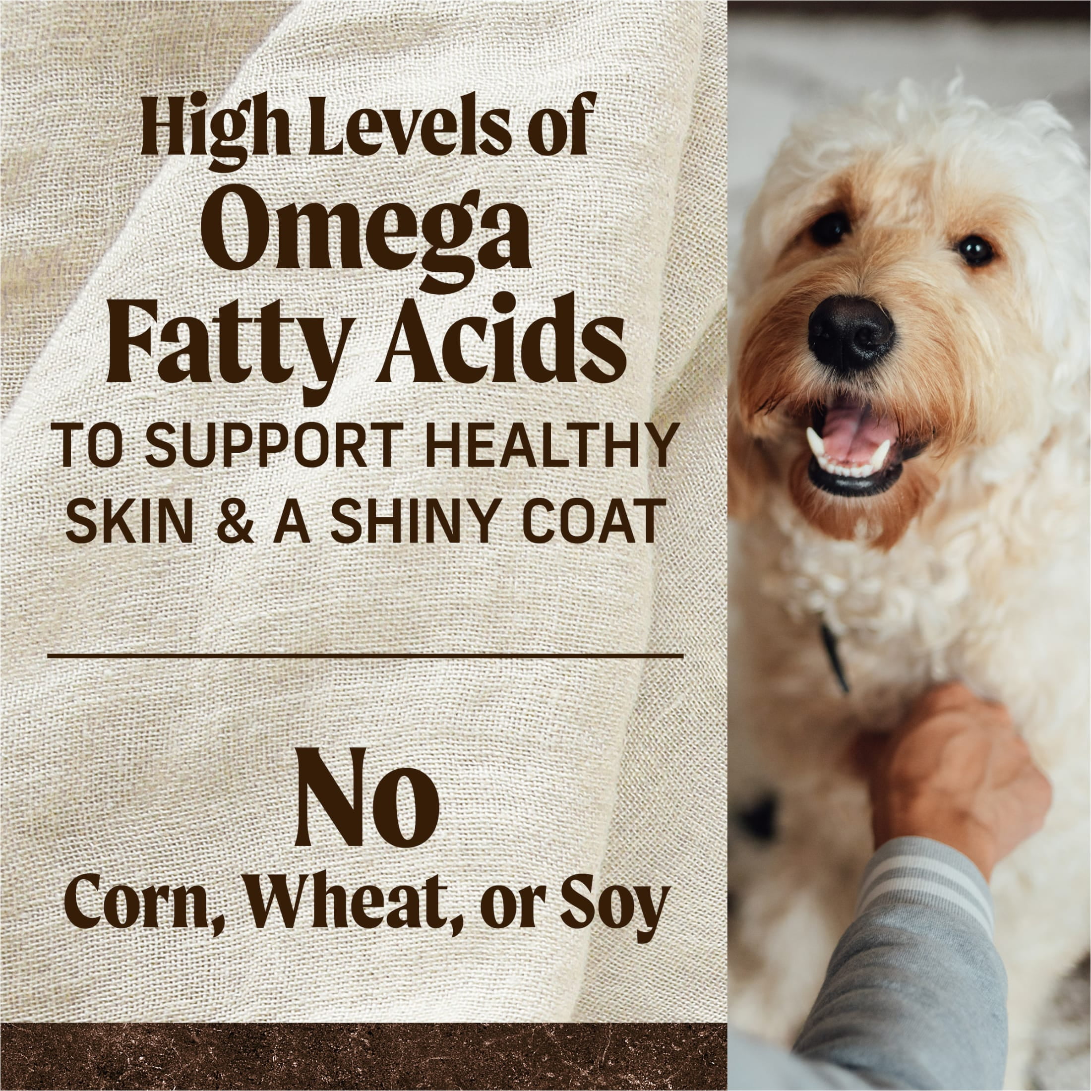 Merrick Real Lamb & Sweet Potato Gravy Dry Dog Food, Grain Free, 22 lb bag - Image 10