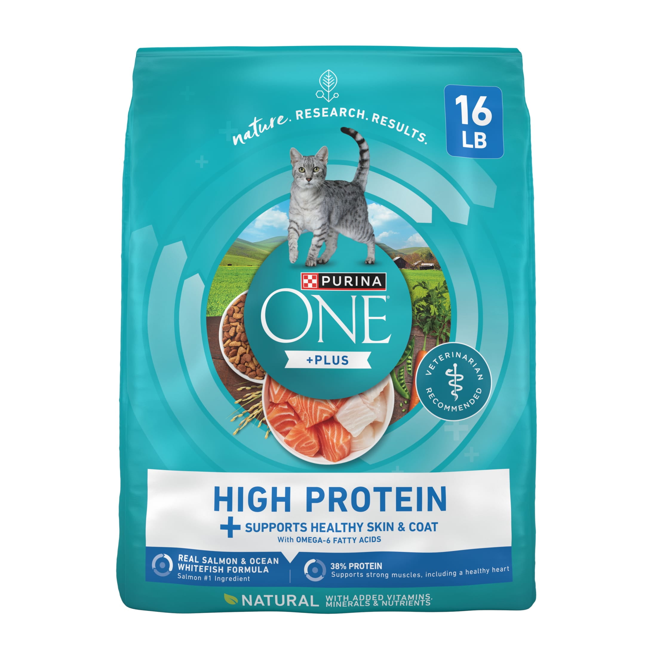 (2 pack) Purina ONE Plus Natural High Protein Dry Cat Food Salmon and Ocean Whitefish Skin and Coat Health Formula, 16 lb Bag - Image 2
