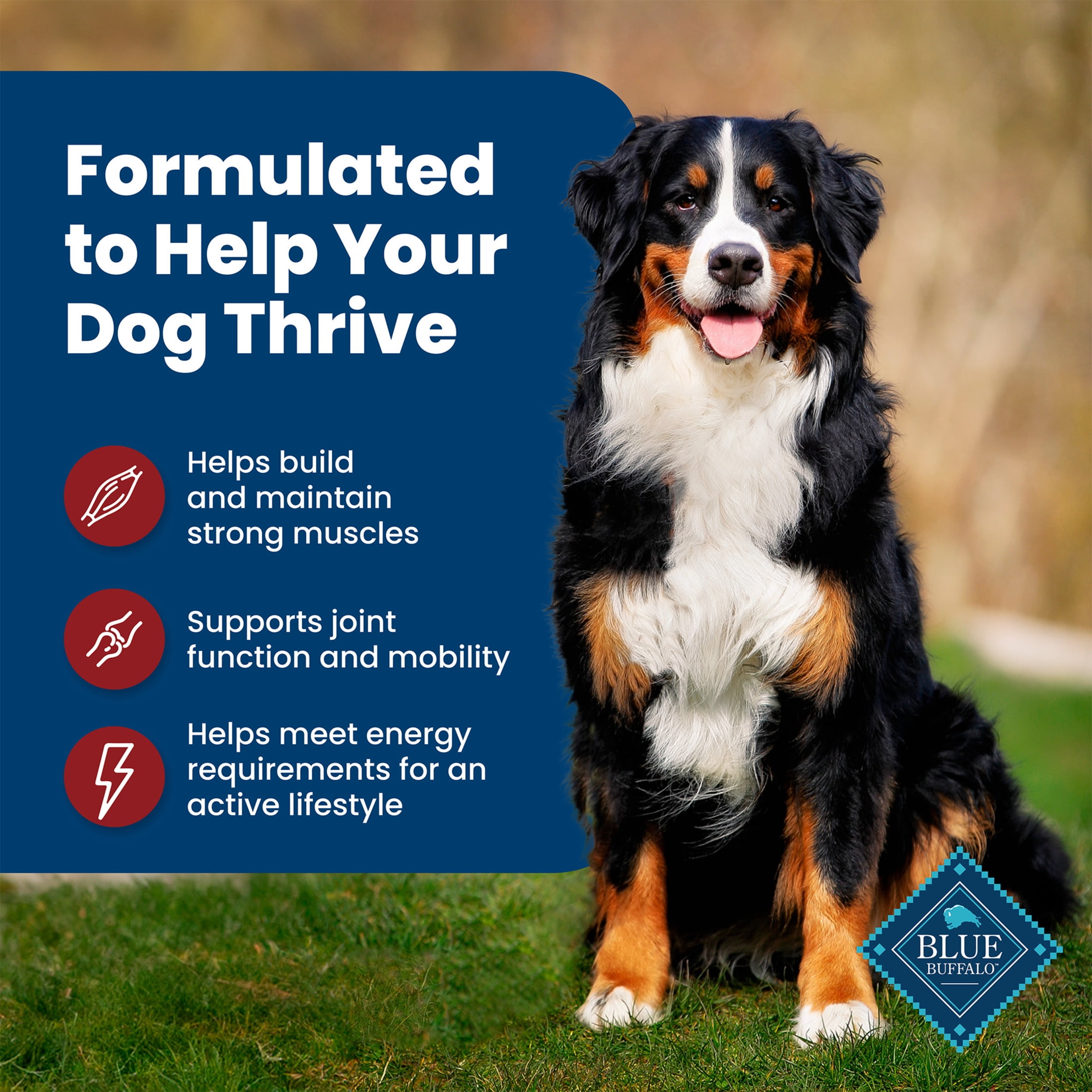 Blue Buffalo Life Protection Formula Natural Dry Dog Food, Beef & Brown Rice, 30-lb. Bag - Image 9