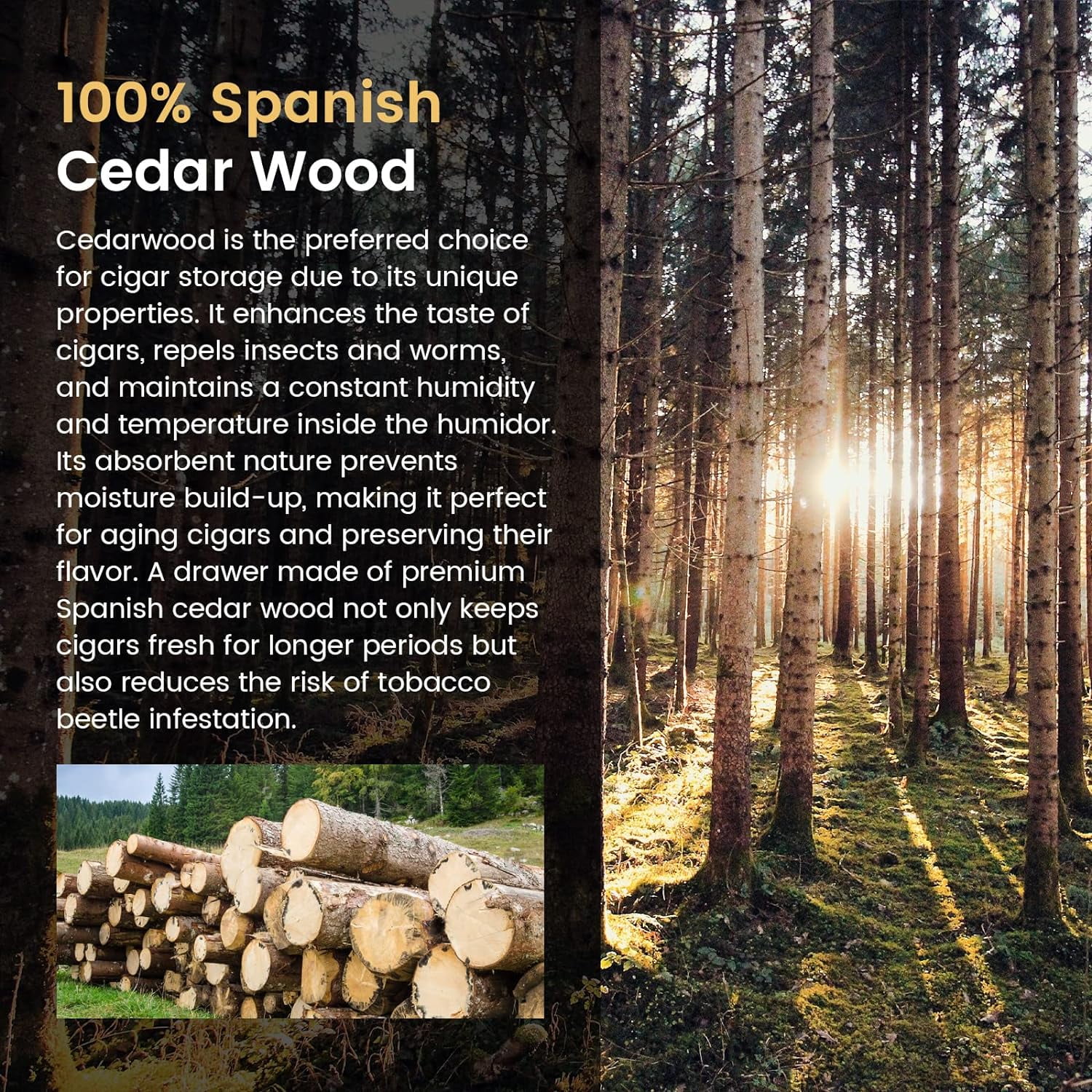 NEEDONE Spanish Cedar Wood Tray Shelf Drawer for 48L Cigar Cooler/Heating Humidor - Image 3