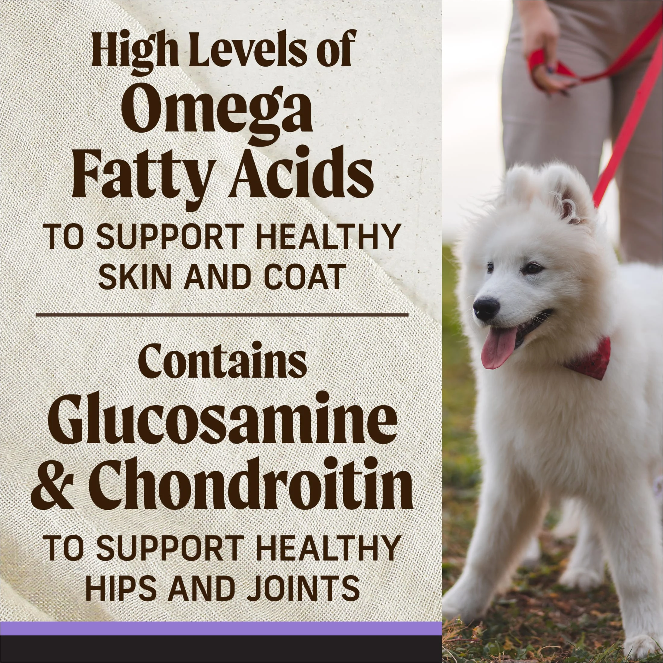 Merrick Backcountry Grain Free Dry Puppy Dog Food, Kibble With Freeze Dried Raw Pieces, Chicken Recipe, 20.0 lb. Bag - Image 3