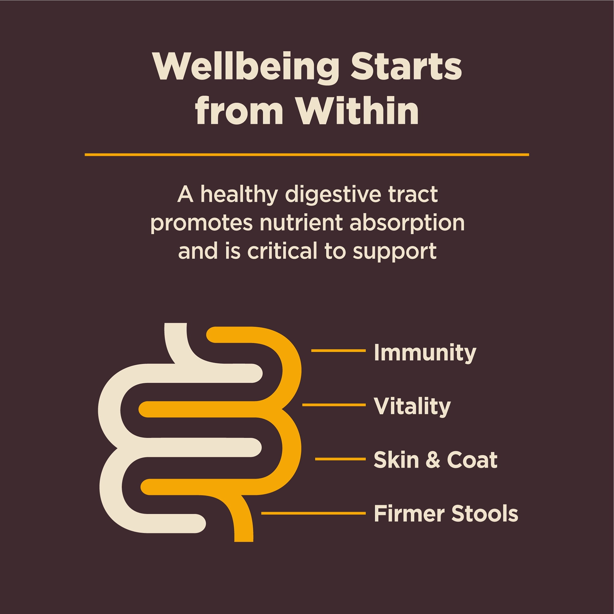 Wellness CORE Digestive Health Puppy Dry Dog Food, Wholesome Grains, Natural, High Quality Ingredients for Dogs with Sensitive Stomachs, Chicken Recipe, (24-Pound Bag) - Image 7