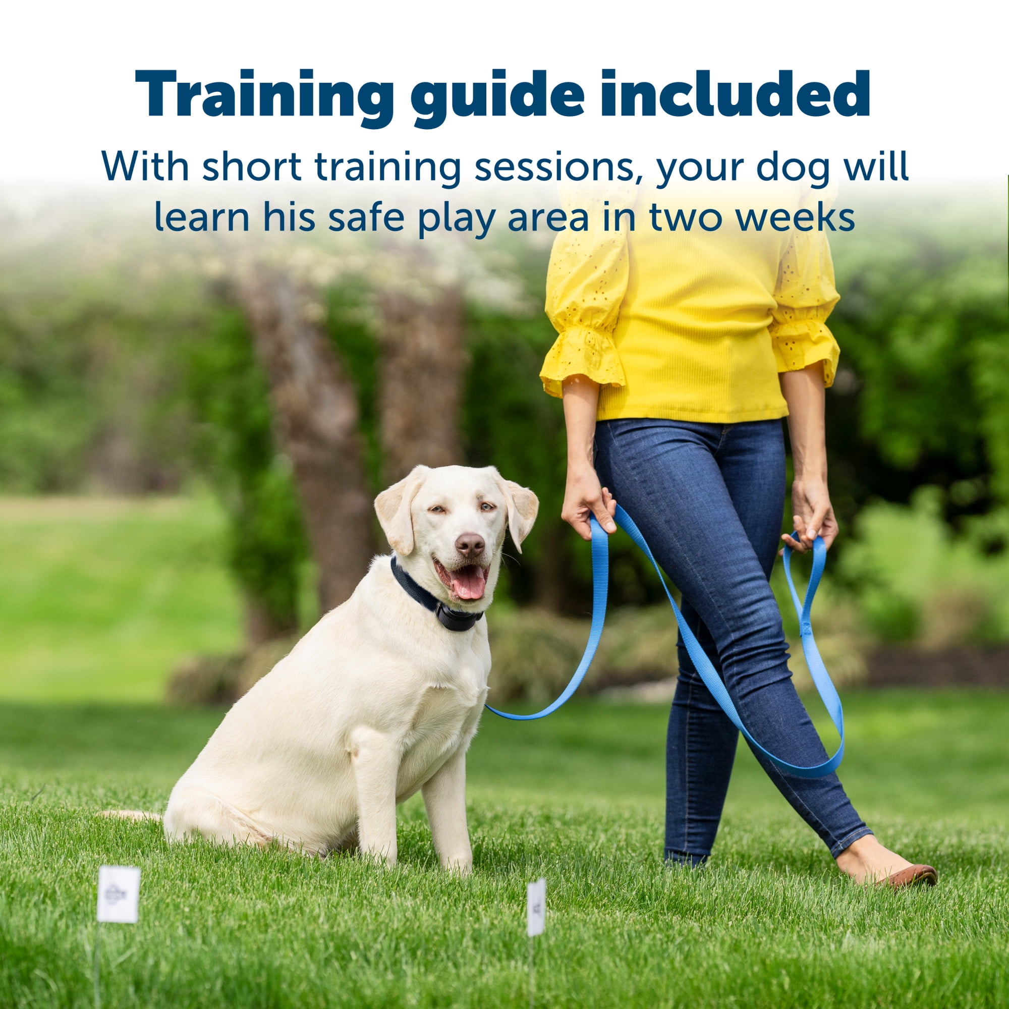 PetSafe Stay & Play Wireless Fence with Replaceable Battery Dog & Cat Collar, Waterproof - Image 6