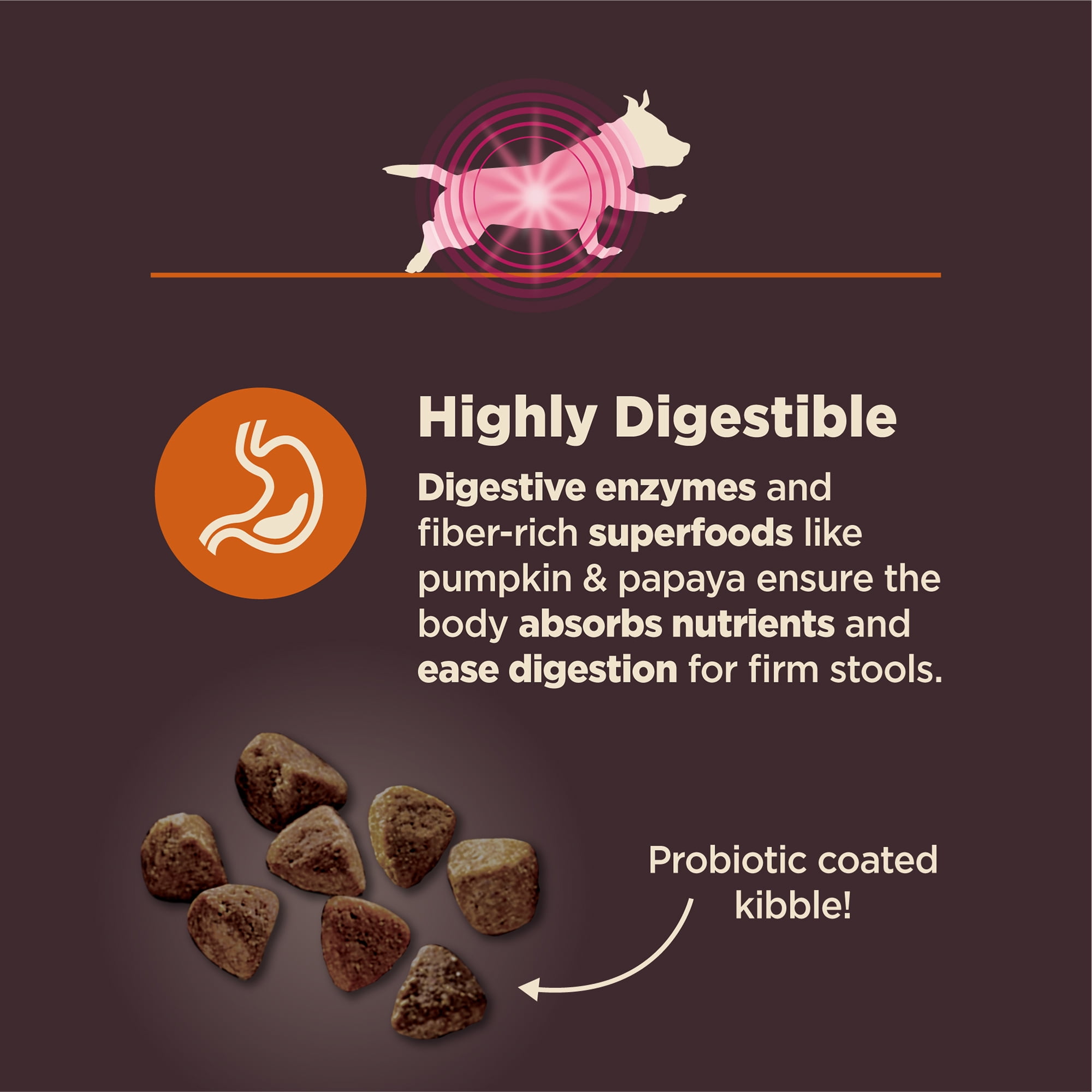 Wellness CORE Digestive Health Dry Dog Food, Small Breed, Wholesome Grains, Natural, High Quality Ingredients for Dogs with Sensitive Stomachs, Chicken Recipe, (12-Pound Bag) - Image 6