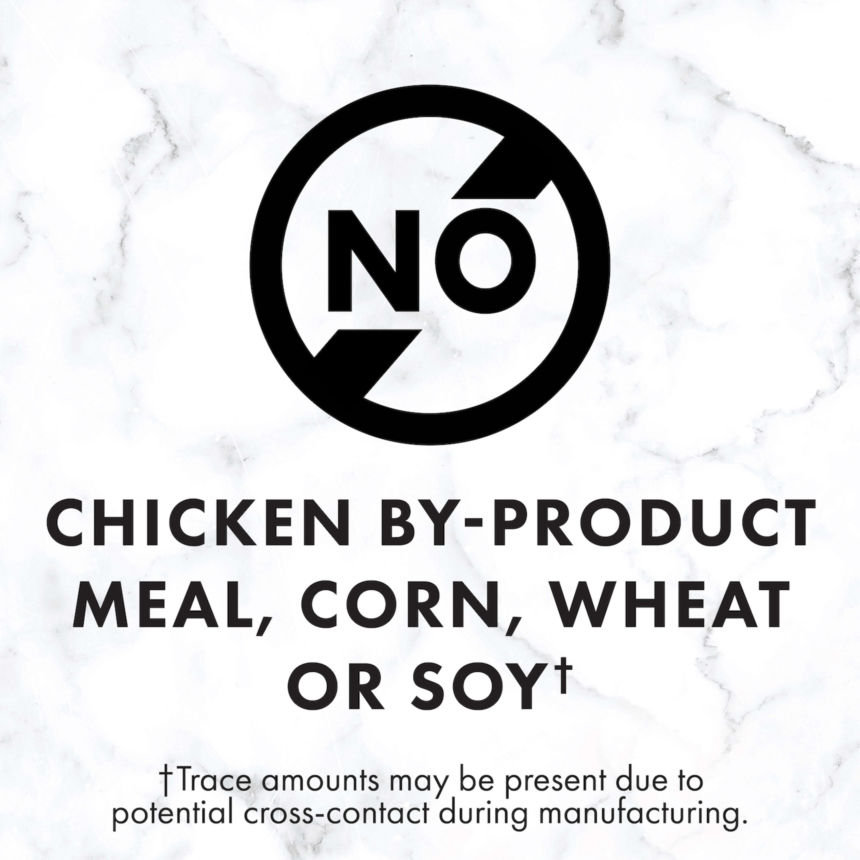 NUTRO NATURAL CHOICE Chicken & Brown Rice Flavor Dry Dog Food for Adult Dog, 40 lb. Bag - Image 4