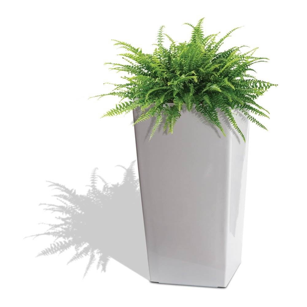 Algreen Modena Sq Self-Watering Planter w/ Water Level Guide, Glossy White - Image 5
