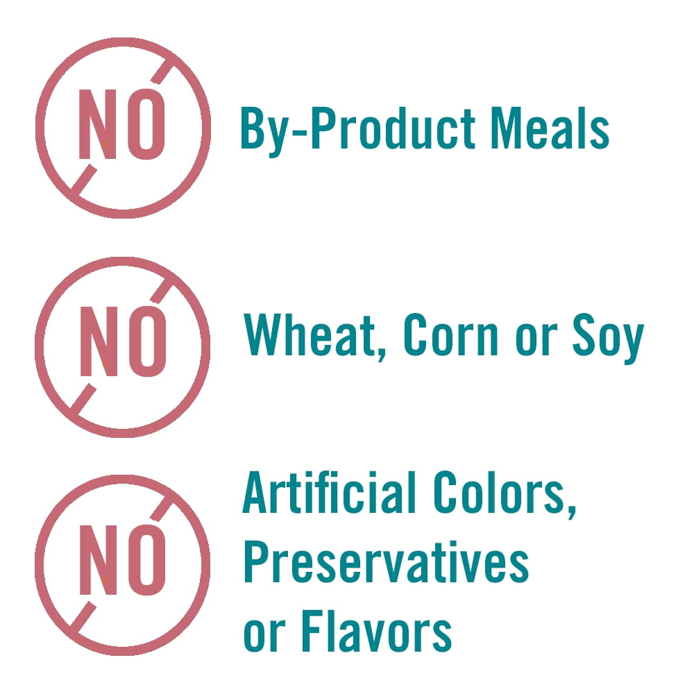 Chicken Soup for the Soul Indoor Chicken & Salmon Pate Wet Cat Food, 5.5 oz. Cans (24 Count) - Image 5