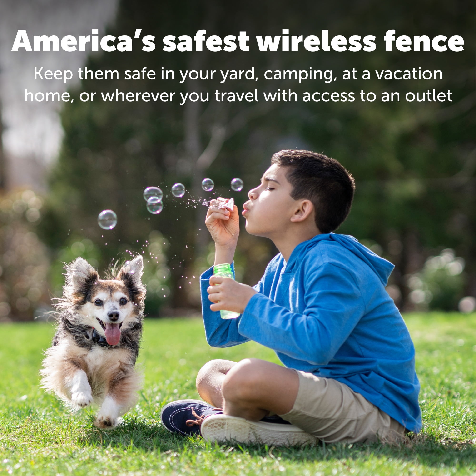 PetSafe Wireless Pet Containment System Receiver Collar for Dogs & Cats +5 lb., Waterproof - Image 2