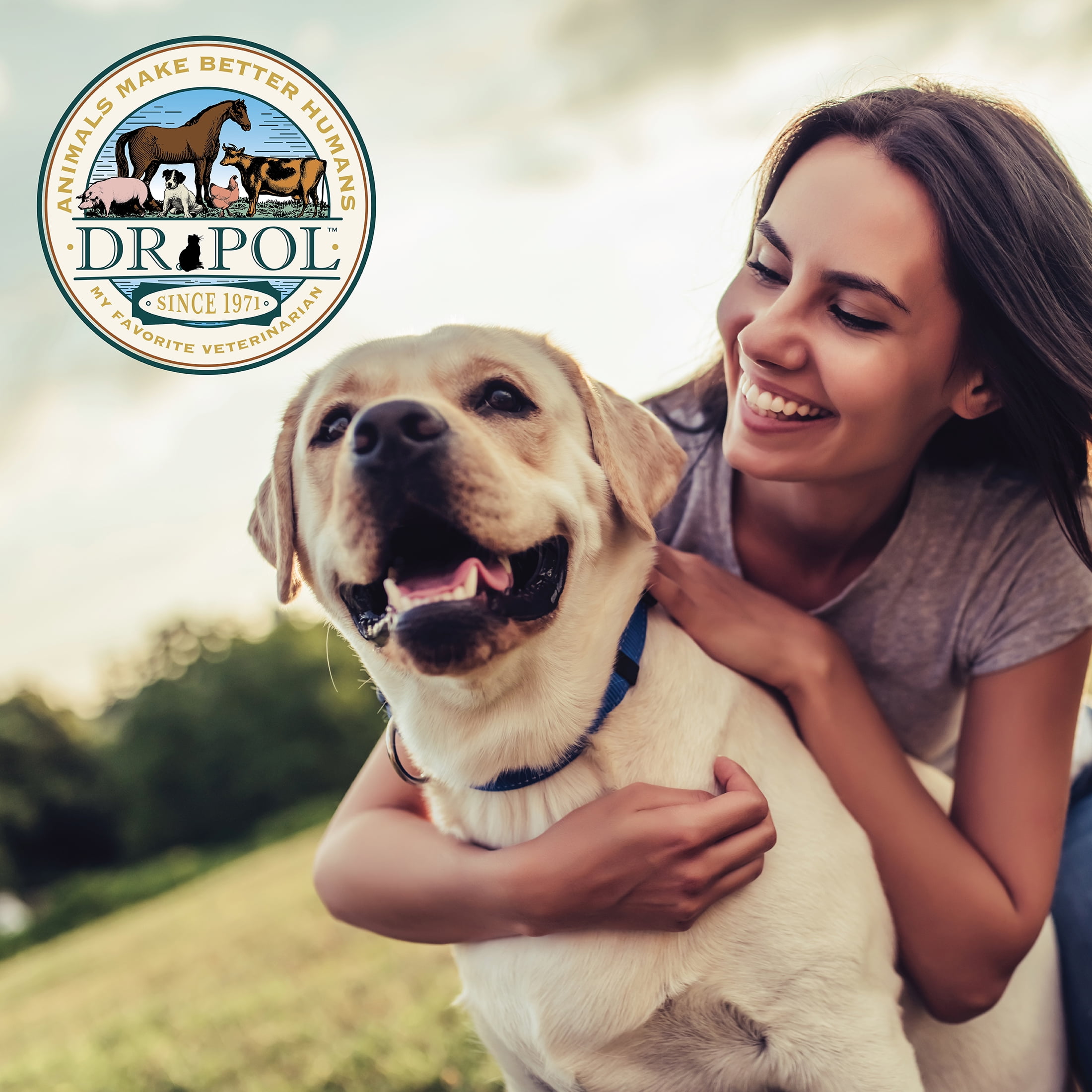 Dr. Pol High Energy Limited Ingredient Chicken Recipe Dry Dog and Puppy Food, 24 lb. Bag - Image 4