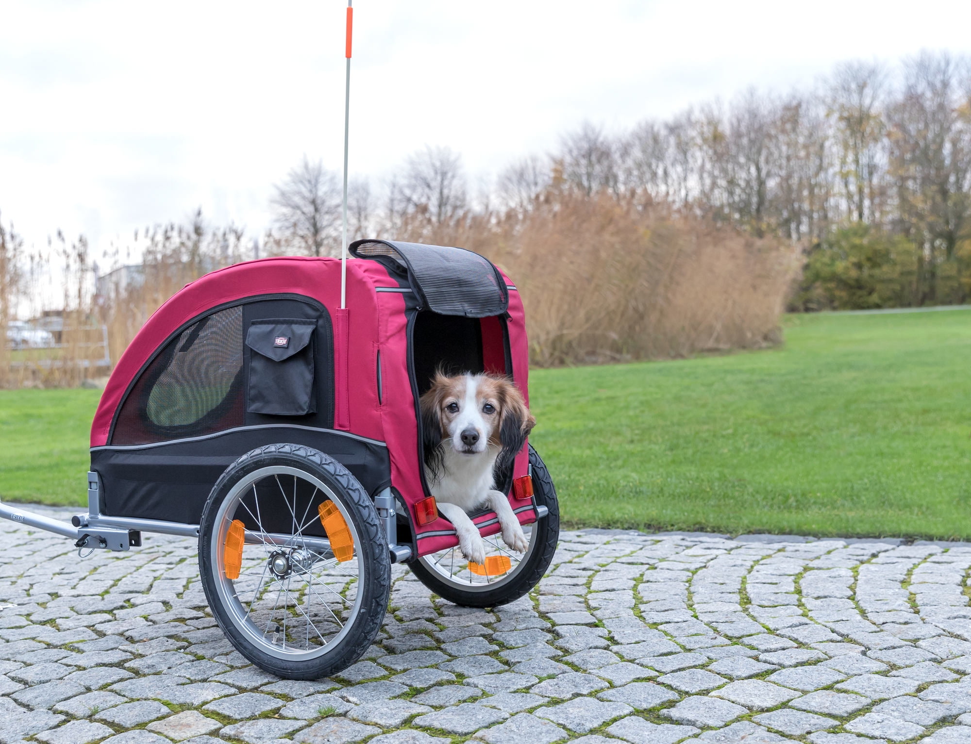 TRIXIE Foldable 2-in-1 Bicycle Trailer for Medium Dogs with Windows, Black & Red - Image 3