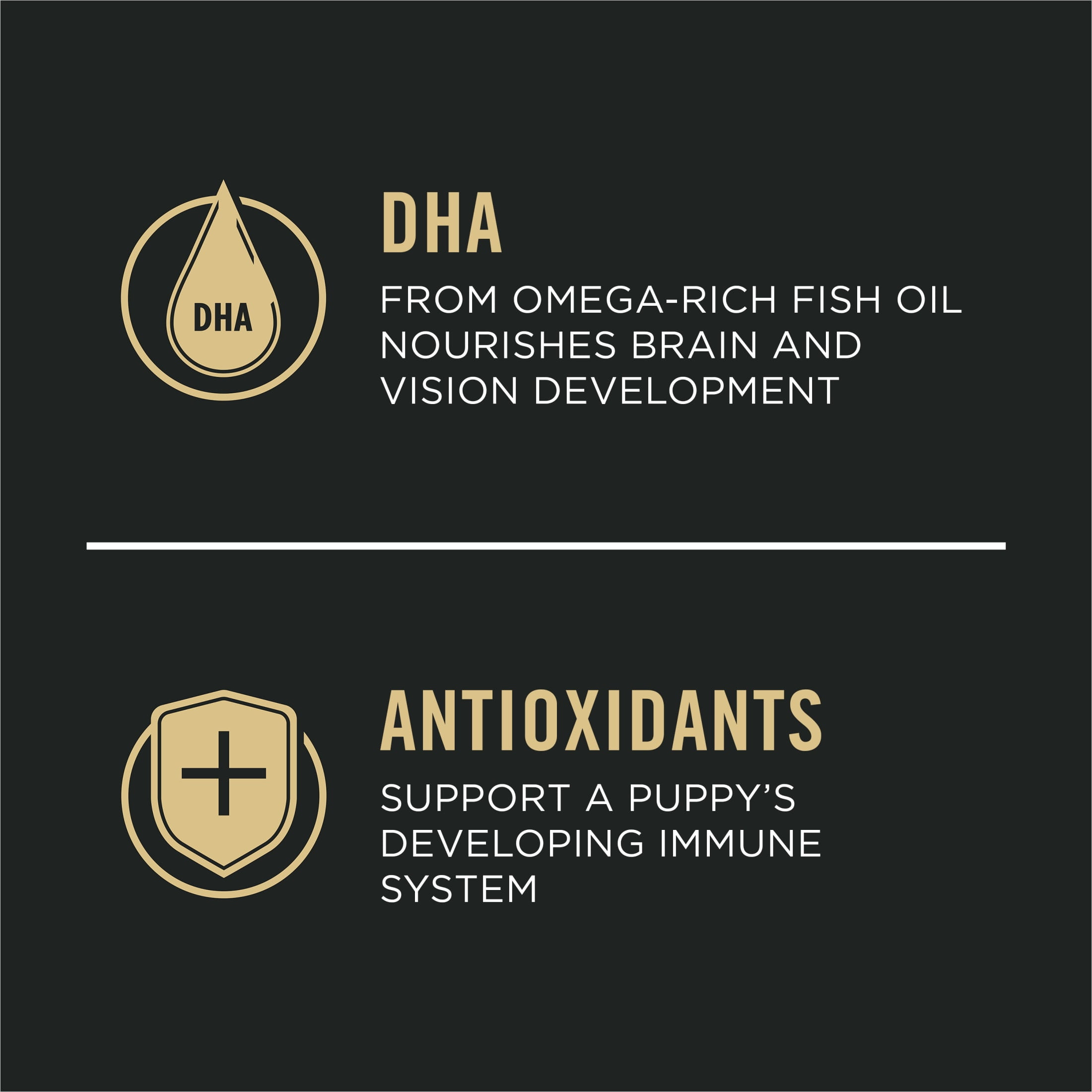 Purina Pro Plan Puppy Dry Dog Food for Small Dogs High Protein, Real Chicken & Rice, 18 lb Bag - Image 3