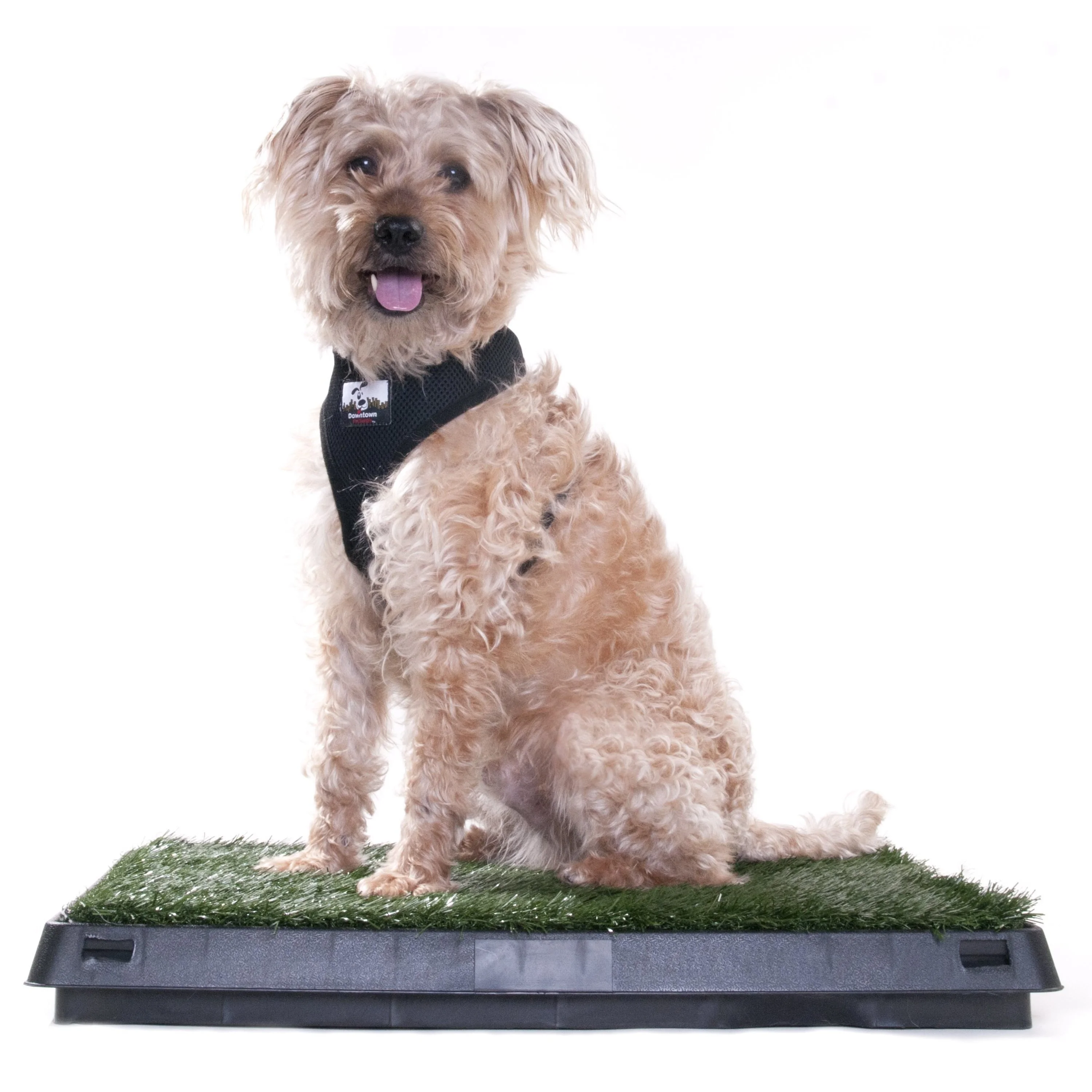 Downtown Pet Supply Grass Pad for Dogs, System w/ Drawer, 20 x 25" Dog Pads - Image 7