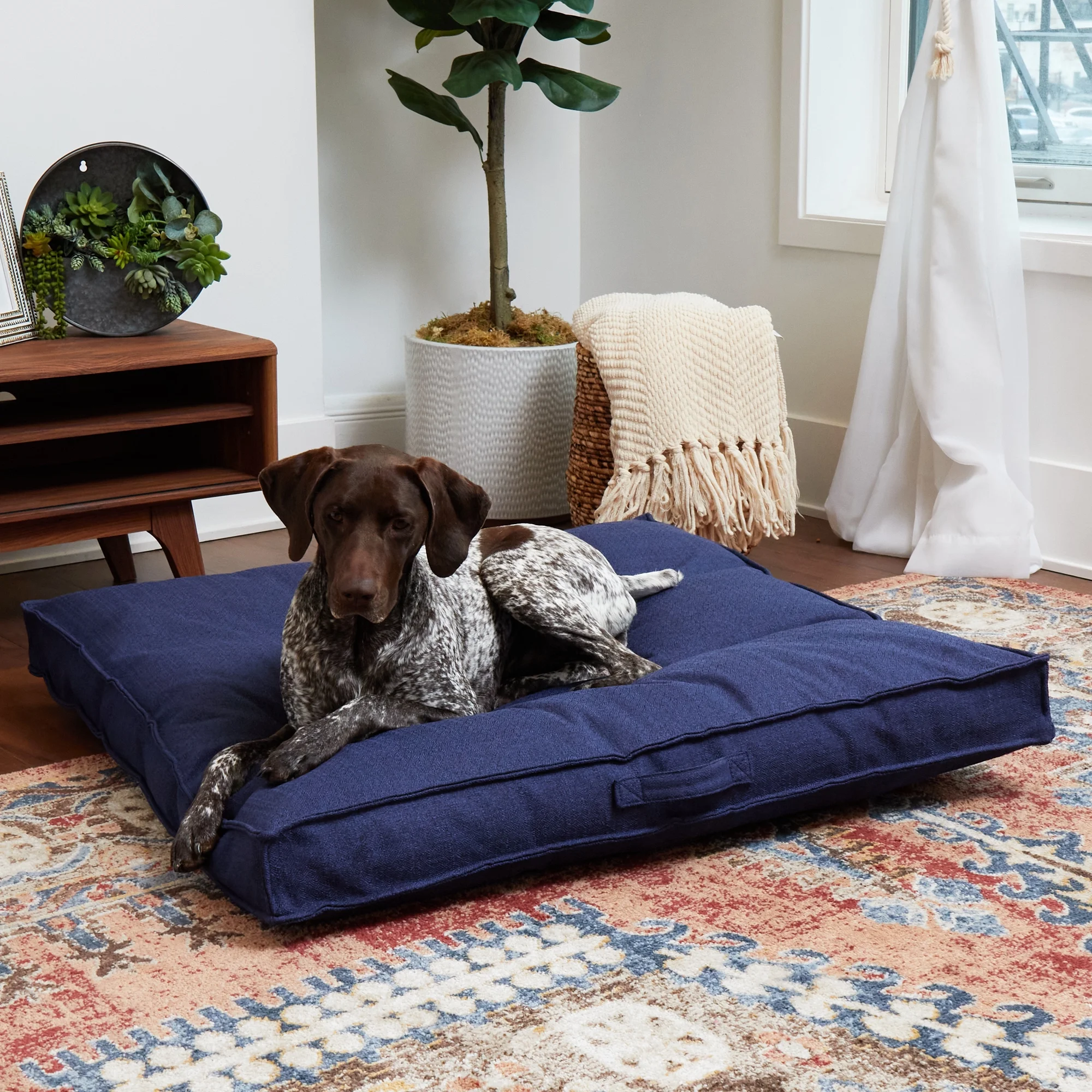 Happy Hounds Milo Square Tufted Dog Bed, Cobalt, Large (40 x 40 in.) - Image 4