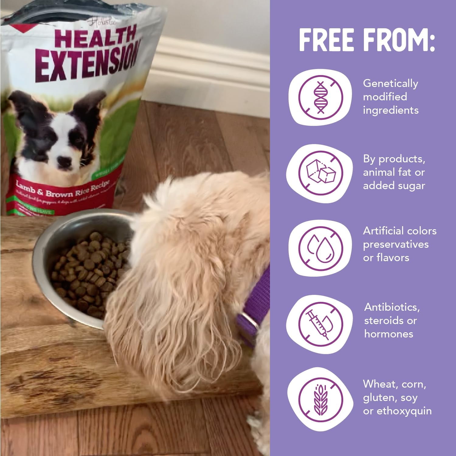 Health Extension Lamb & Brown Rice Dry Dog Food (15 lb / 6.8 kg) - Nutritious Free-Range Lamb Formula with Probiotics, Antioxidants & Omega 3 for Dogs with Sensitive Digestion - Image 4