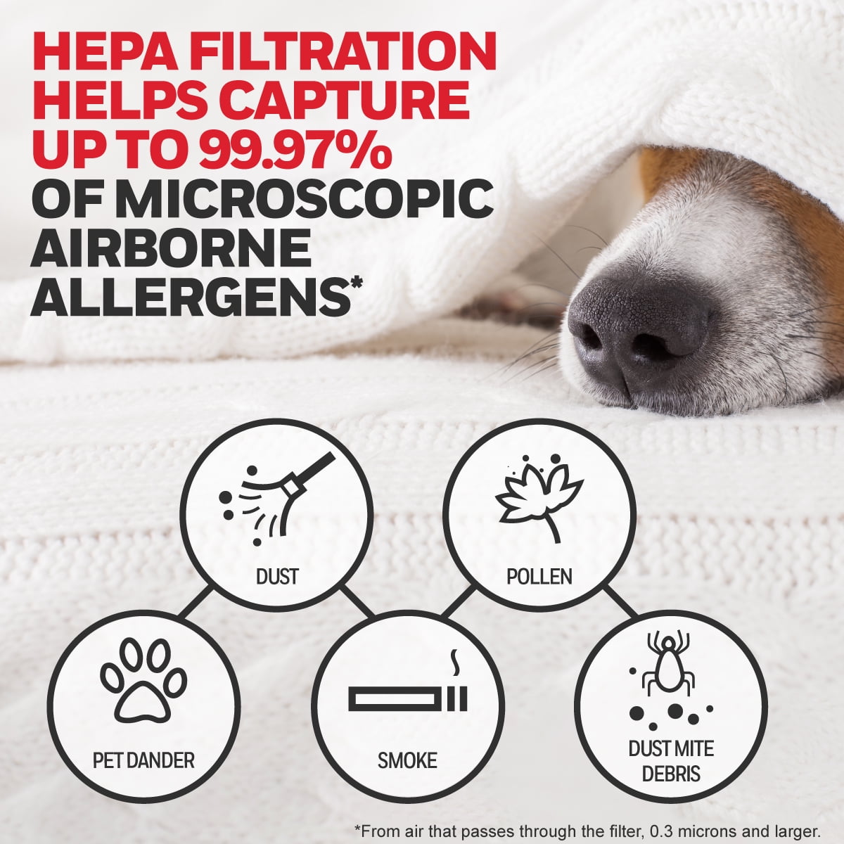 Honeywell Air Purifier Replacement Filter, HRF-ARVP200, HEPA Filter, Value Pack - Image 5