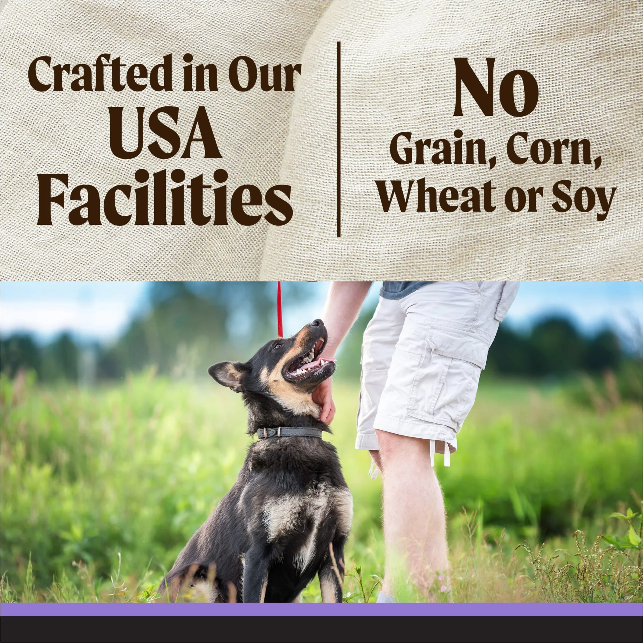 Merrick Backcountry Grain Free Dry Puppy Dog Food, Kibble With Freeze Dried Raw Pieces, Chicken Recipe, 20.0 lb. Bag - Image 9