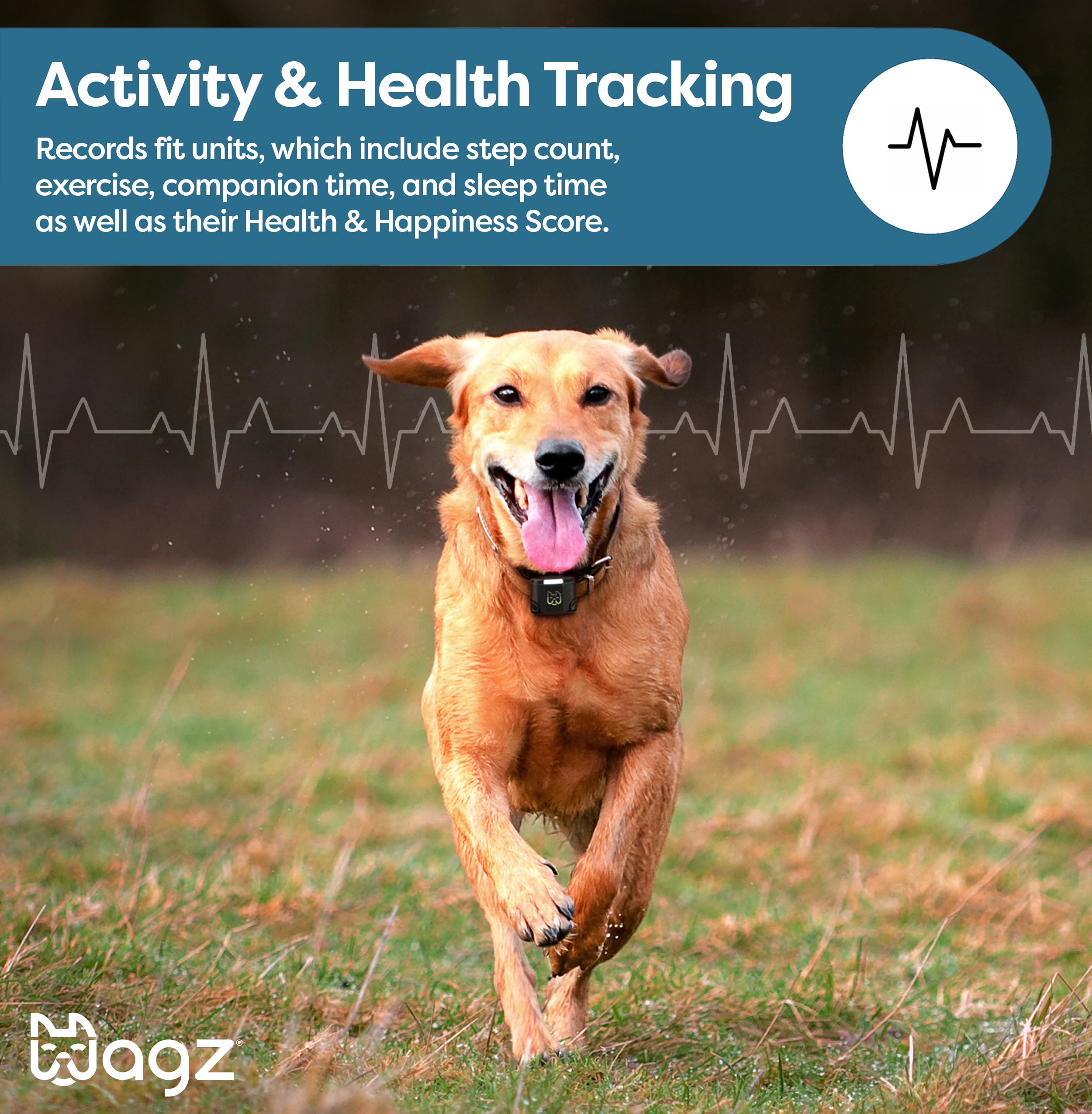 Wagz® Freedom Smart Dog Collar™, the Shock-Free Wireless Fence & Wellness System, Virtual Geofences, GPS Location & Activity/Health Tracking - Image 6