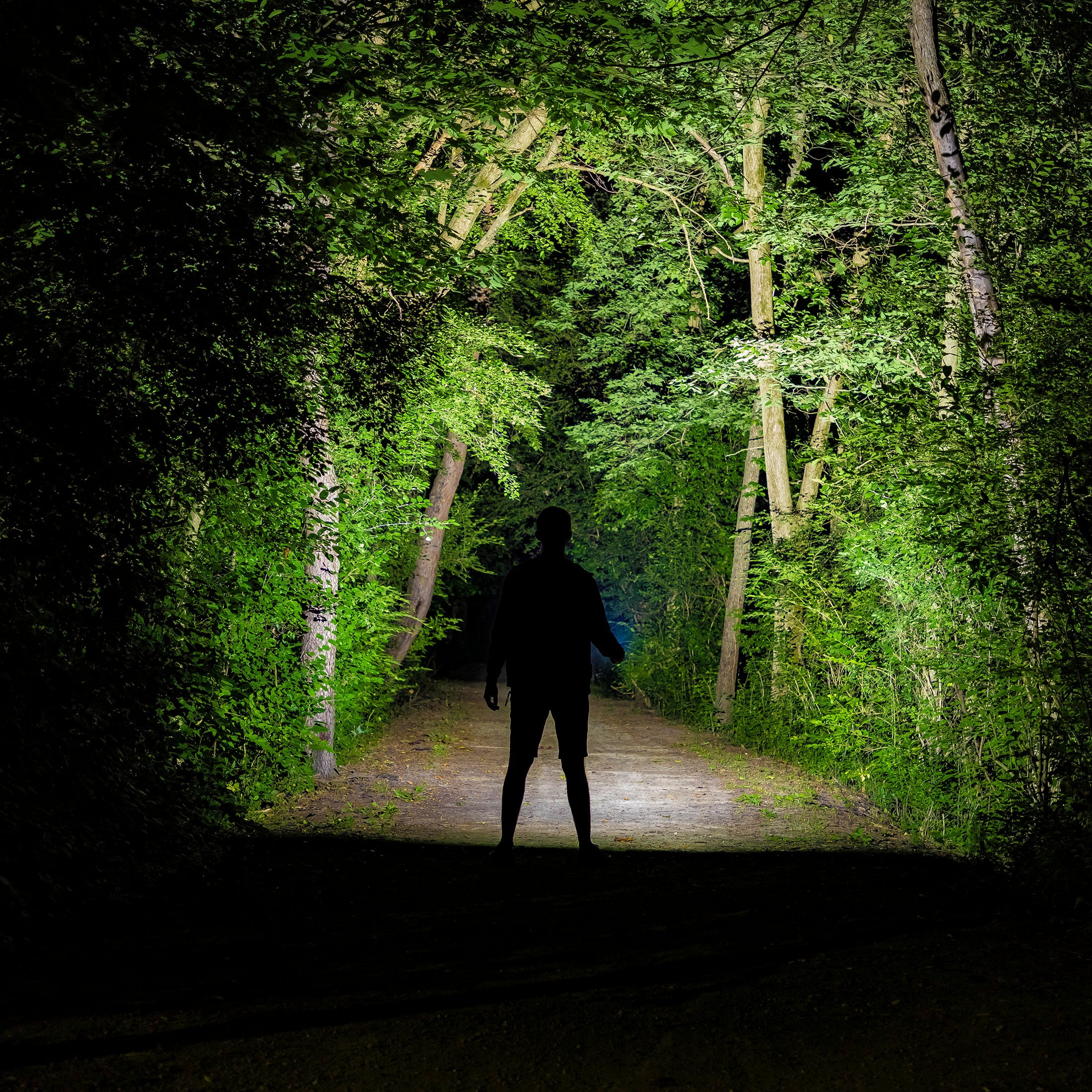 Kodiak Kolossus Tactical COB LED Flashlight 15000 Lumens, USB-C, Rechargeable Power Bank - Image 6