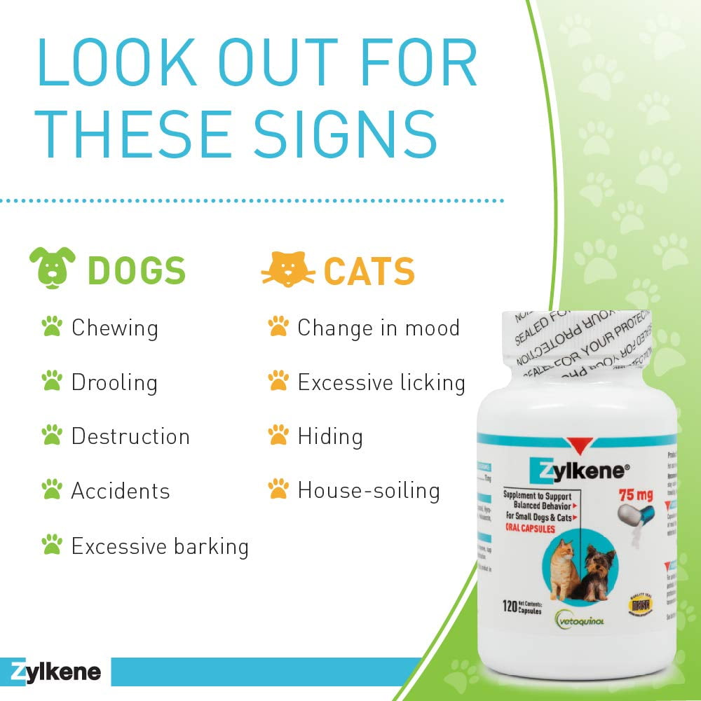 Vetoquinol Zylkene Calming Behavior Support Supplement, Helps Promote Relaxation and Reduce External Stress Factors, Daily Behavioral Support and Anxiety Relief, Dog or Cat, 11-22lbs, 75mg, 120ct - Image 8