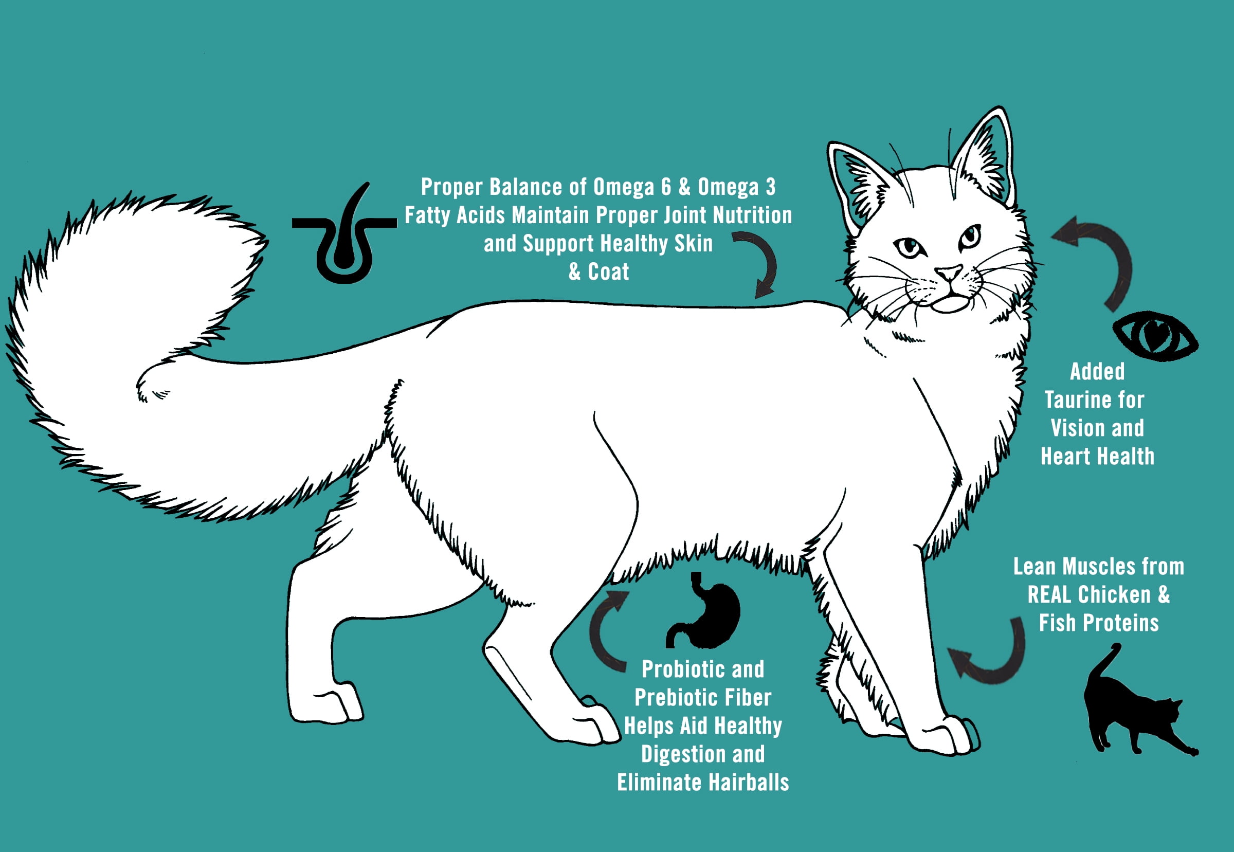 Chicken Soup for the Soul Indoor Cat Food - Tuna & Brown Rice Dry Recipe, 13.5 lb - Image 9