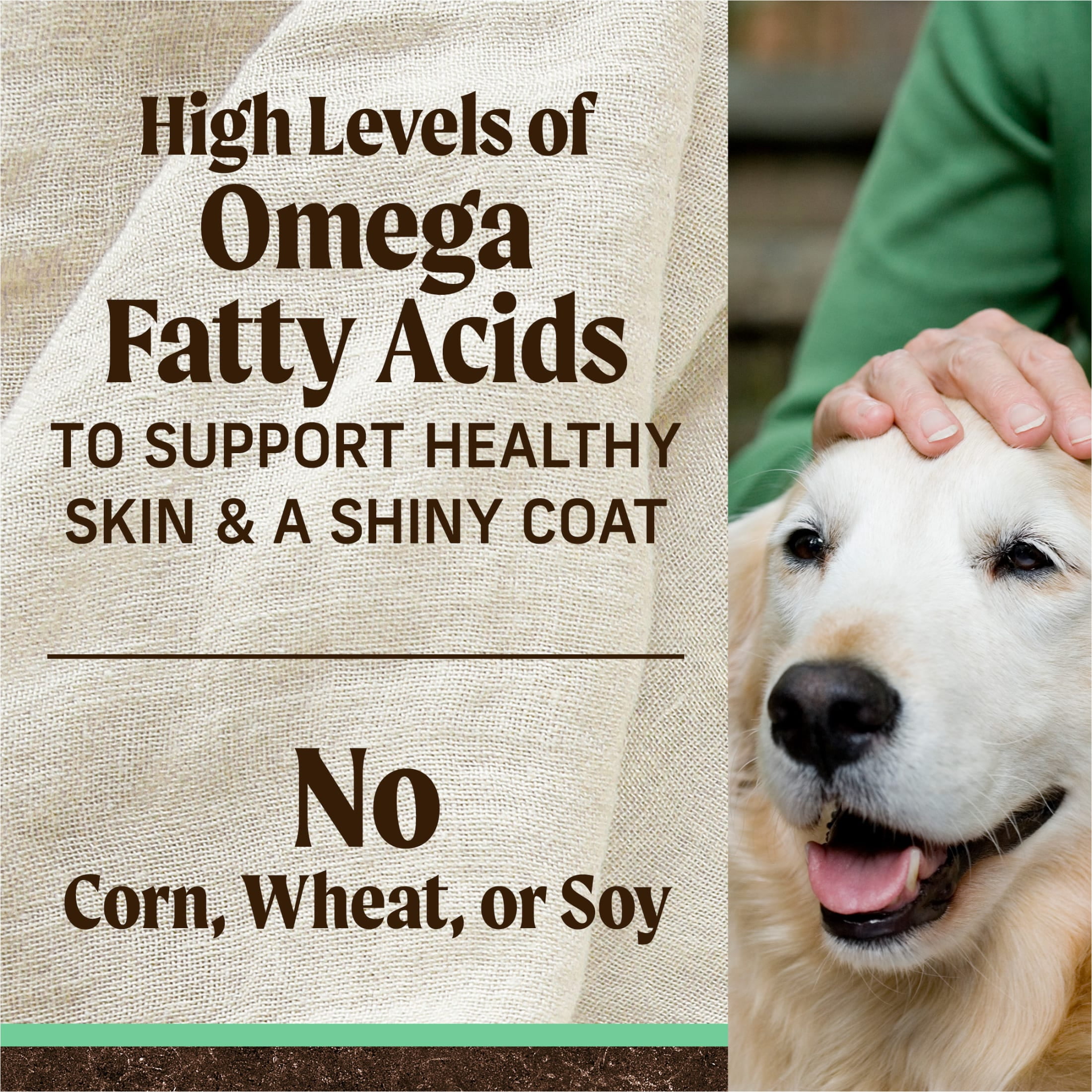 Merrick Grain-Free Dry Dog Food for Seniors, High Protein Real Chicken & Sweet Potato, 22 lb Bag - Image 8