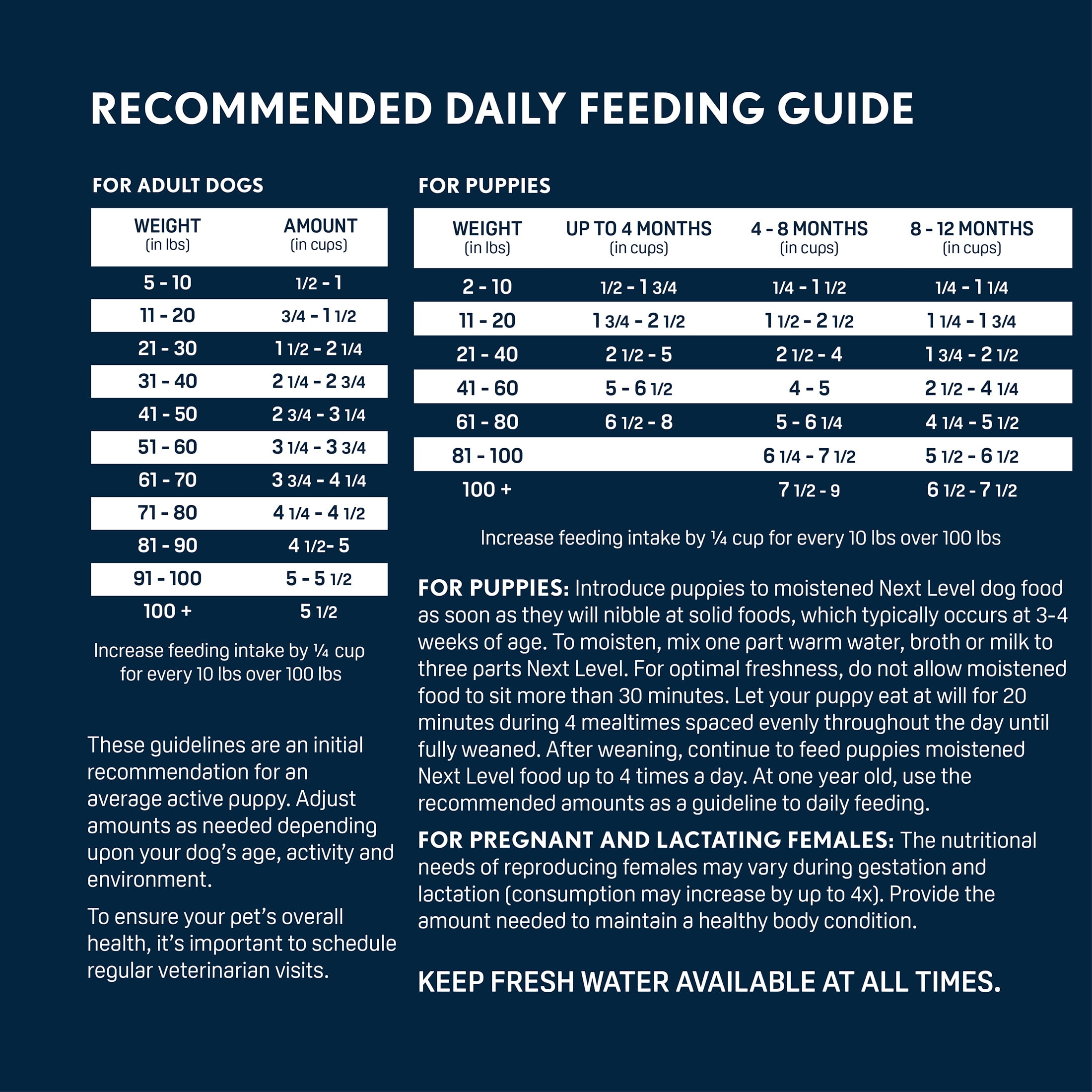 Next Level, Ocean Catch Skin & Coat Recipe, Dry Dog Food, 40 lbs - Image 3