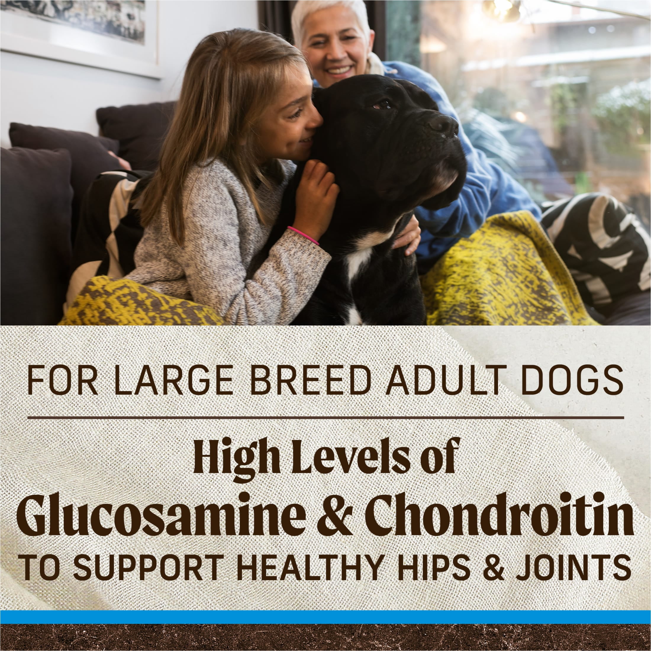 Merrick Grain-Free Large Breed Dry Dog Food for Adults, Real Chicken & Sweet Potatoe, 22 lb Bag - Image 9