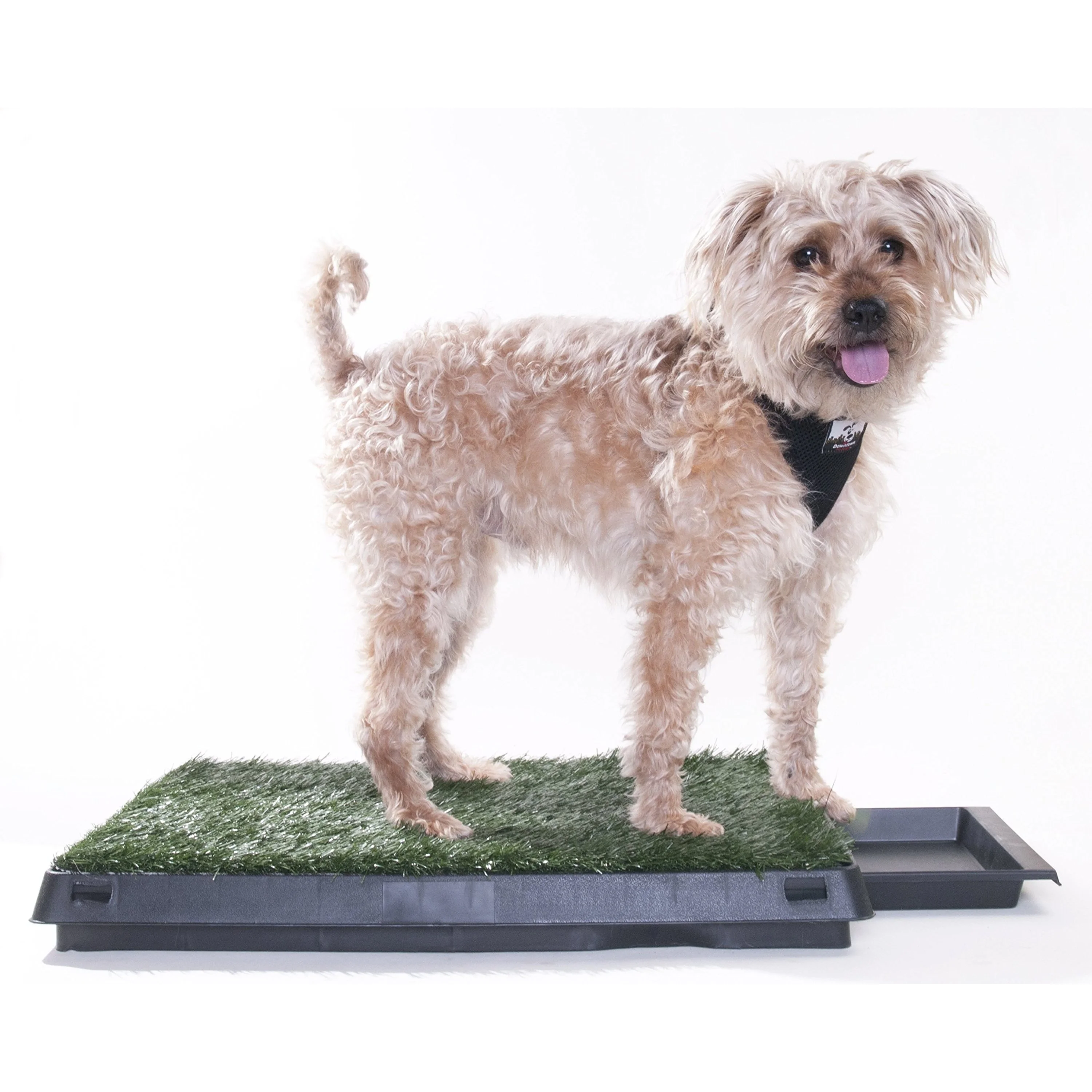 Downtown Pet Supply Grass Pad for Dogs, System w/ Drawer, 20 x 25" Dog Pads - Image 4