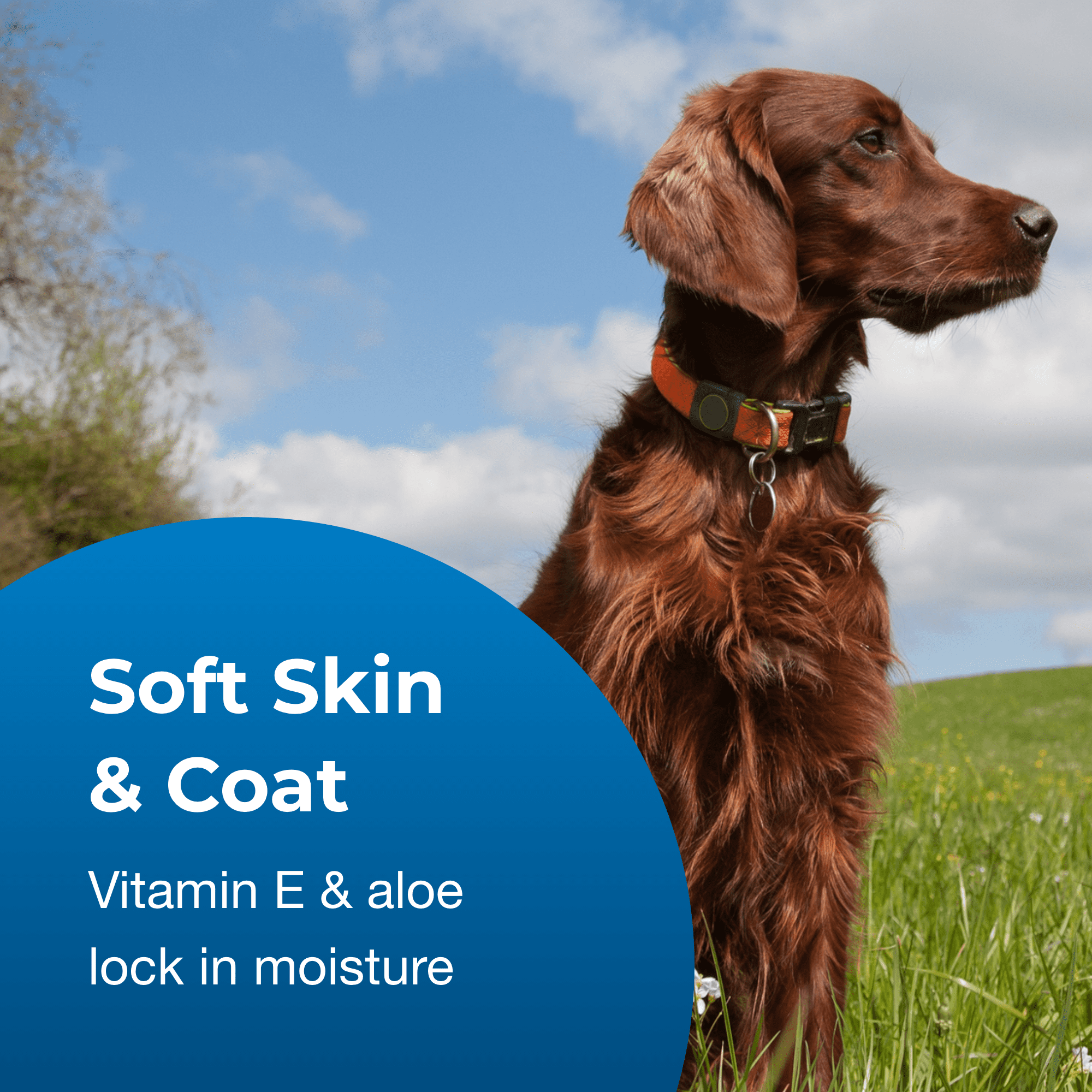 Pet-Ag Fresh ’n Clean Conditioner, Classic Fresh (15:1 Concentrate) - 1 Gal - Image 5