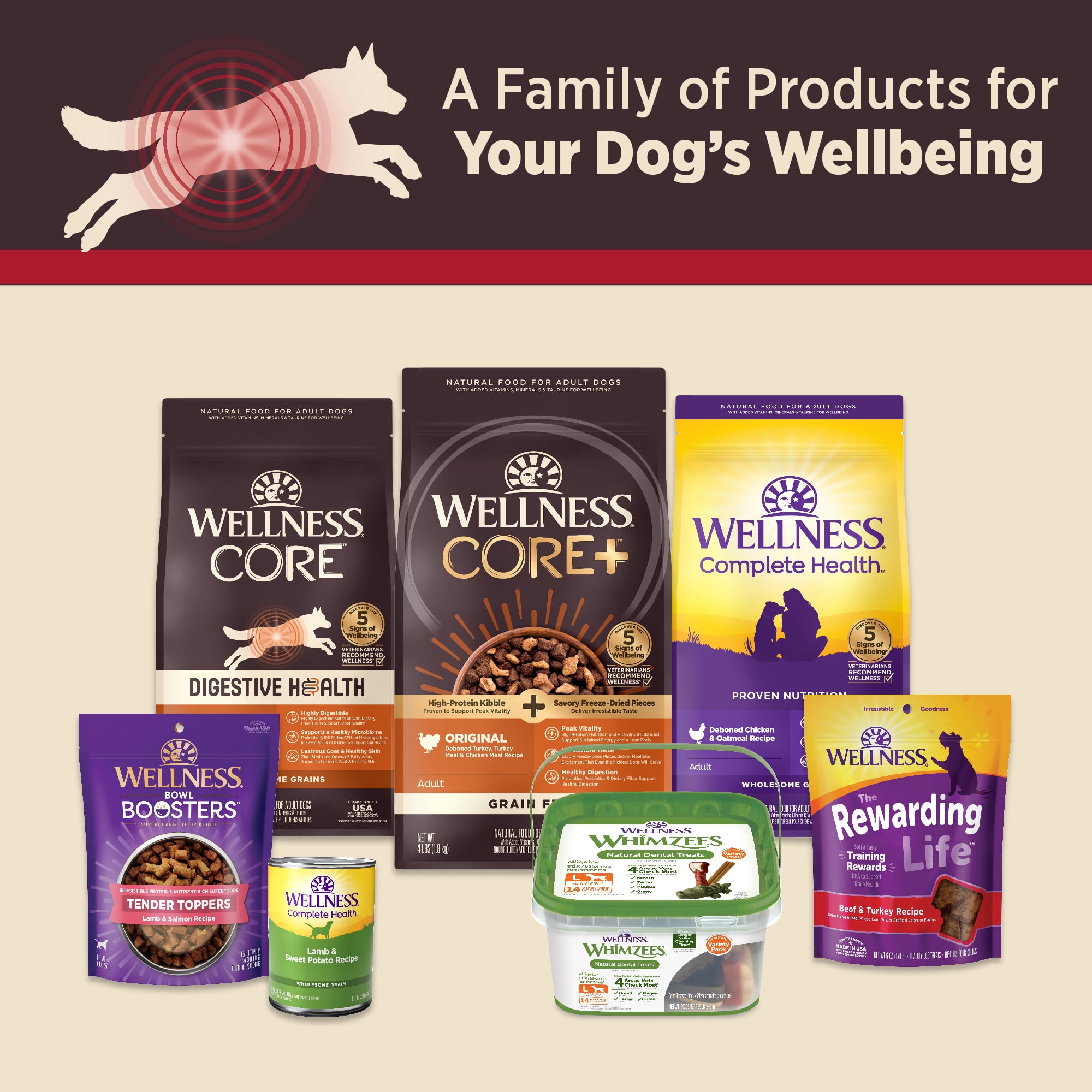 Wellness CORE Digestive Health Beef Grain Free Wet Dog Food, 13 Ounce Can (Pack of 12) - Image 5