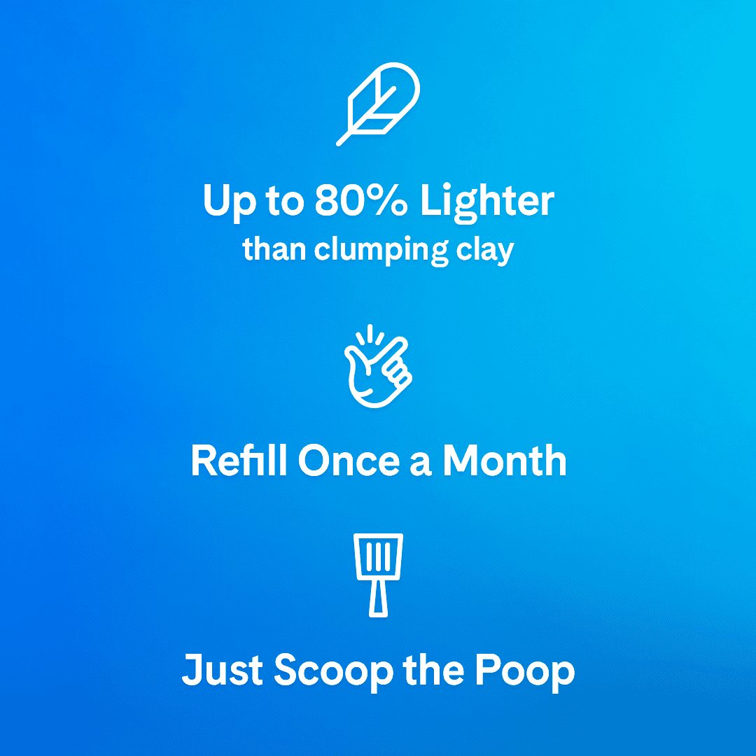 (4 pack) PrettyLitter Health Monitoring Cat Litter, Lotus Flower Scent, 8lb - Image 7