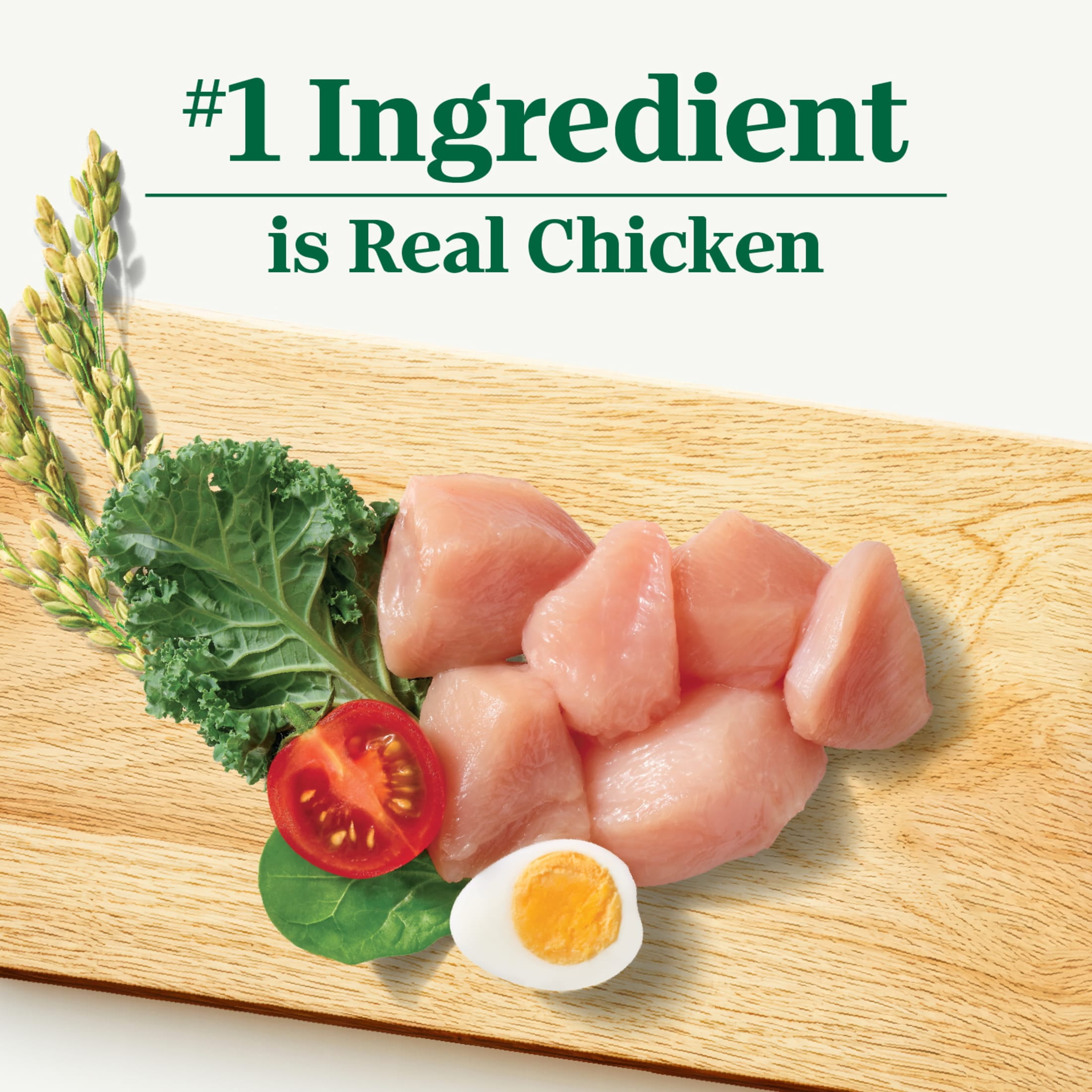 Nutro Natural Choice Adult Large Breed Dog Food Dry Recipe Chicken & Brown Rice, 36 Lb Bag - Image 2