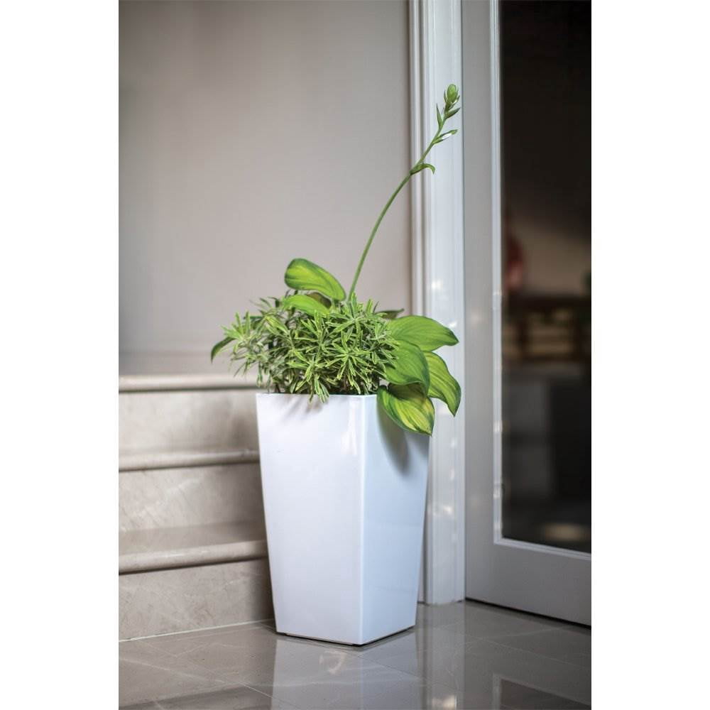 Algreen Modena Sq Self-Watering Planter w/ Water Level Guide, Glossy White - Image 6