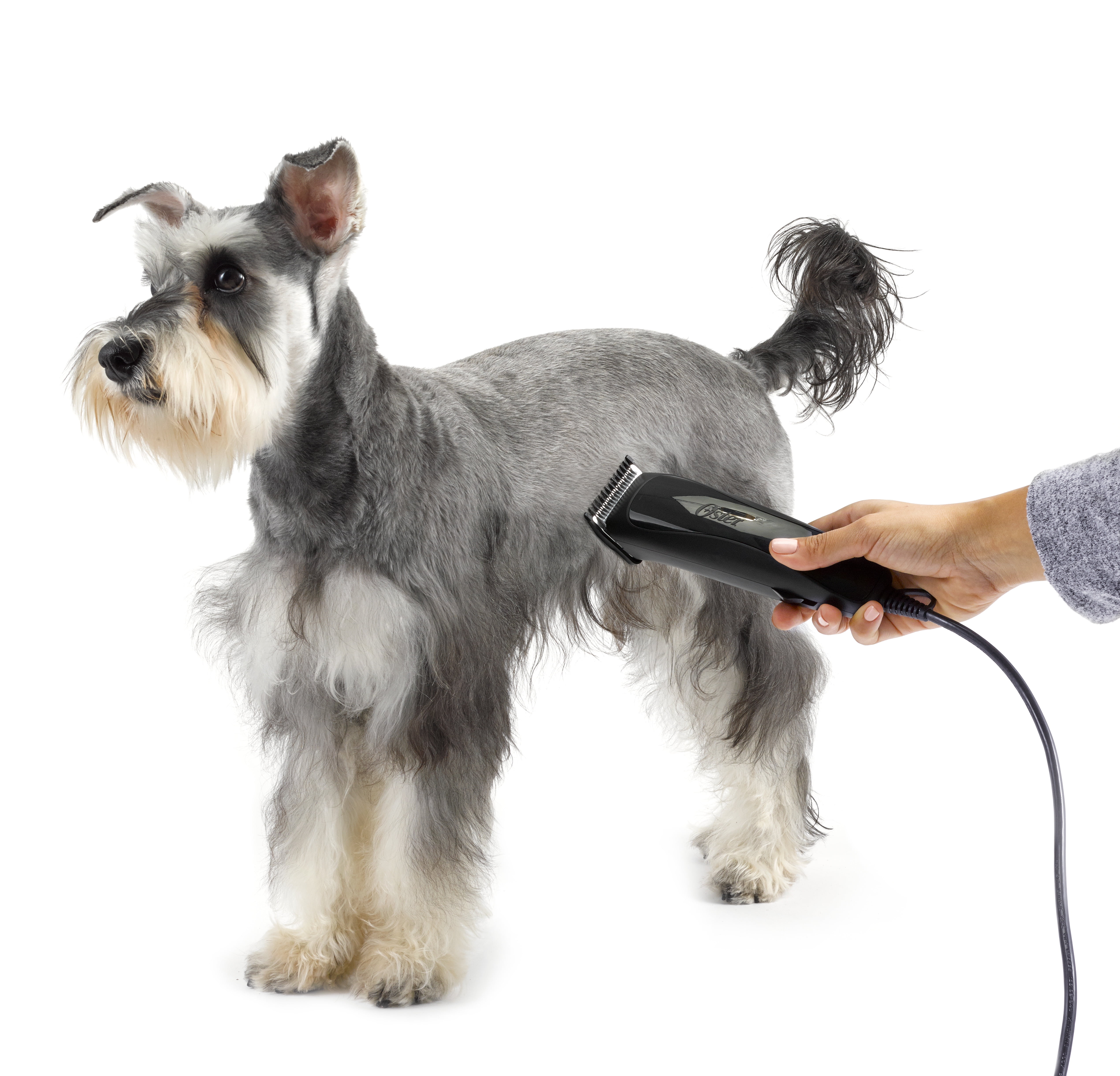 Oster Calm Clips Medium Duty Clipper Grooming Kit for Dogs & Cats - Image 4