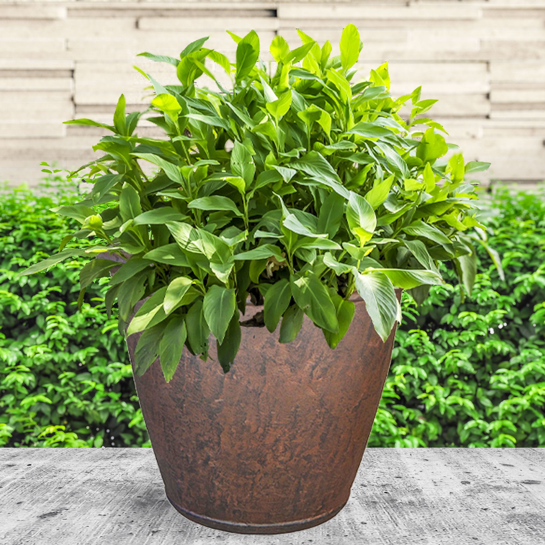 Sunnydaze Anjelica 24" x 24" x 20" Round Rust Polyresin Outdoor Planter Pot - Image 9