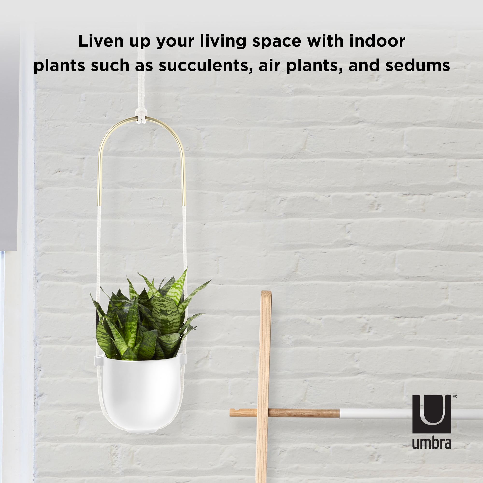 Umbra Bolo Ceramic Hanging Wall Planter White - Image 4